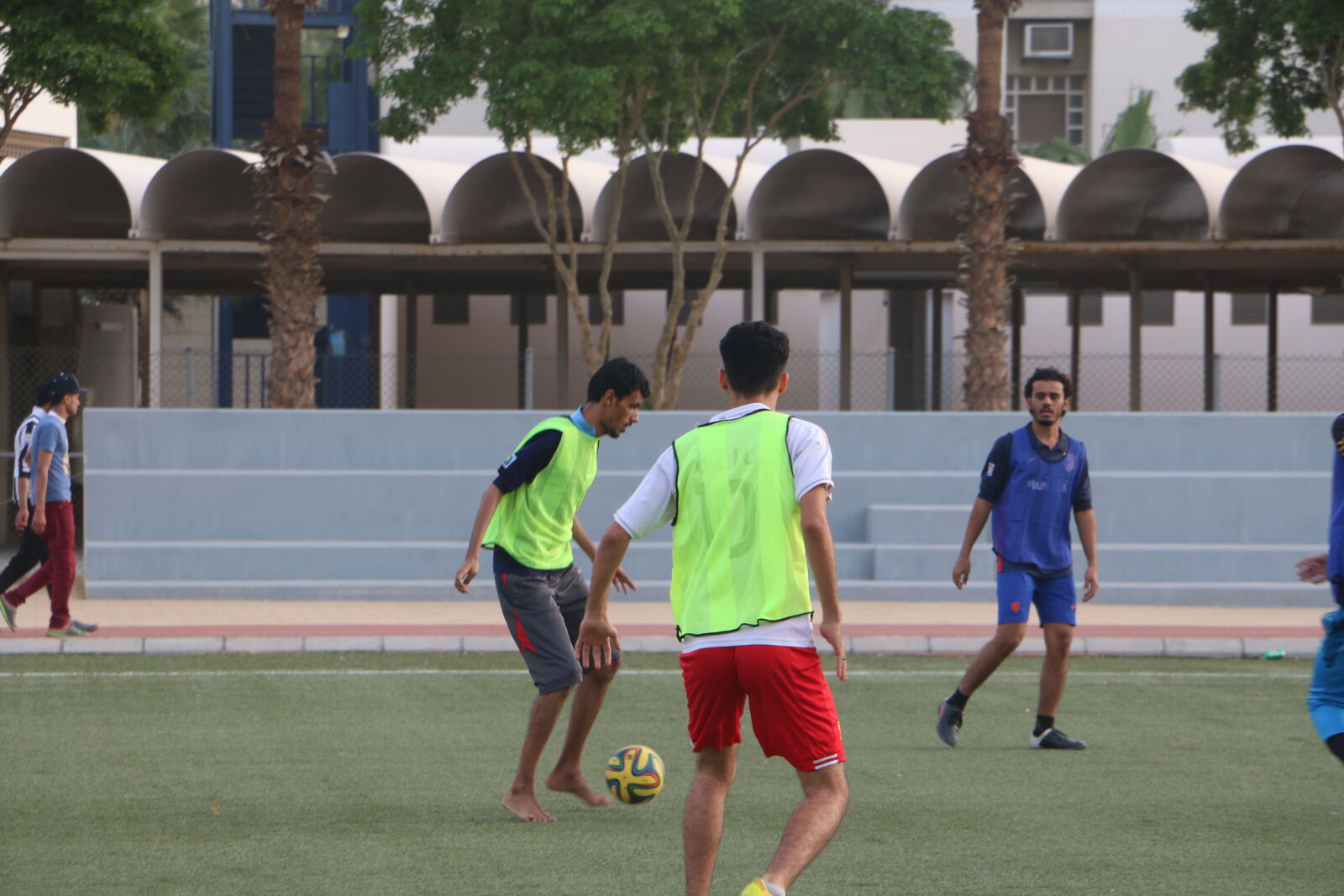 Canon EOS 70D sample photo