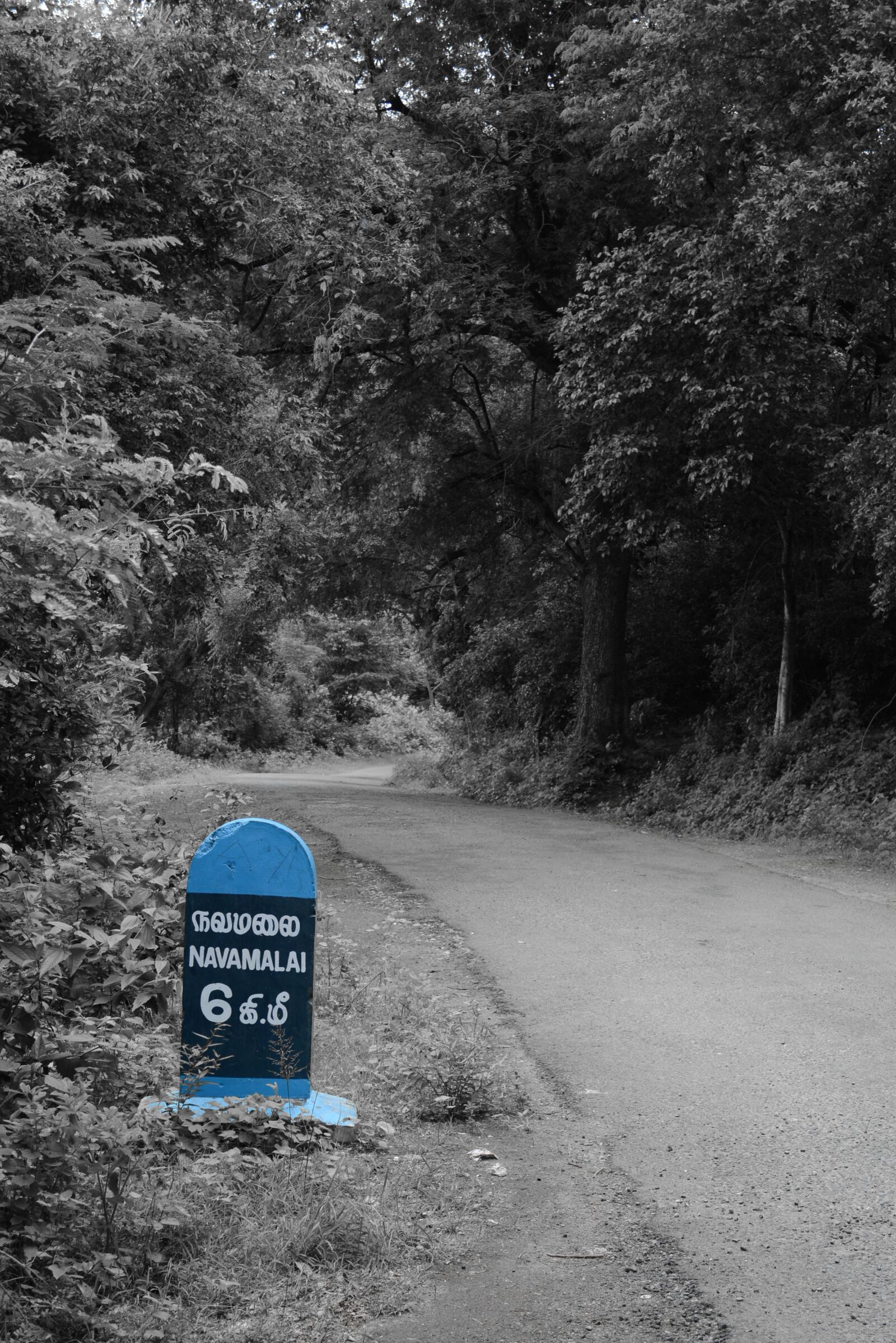 Nikon D5200 sample photo. Route marker, forest road photography