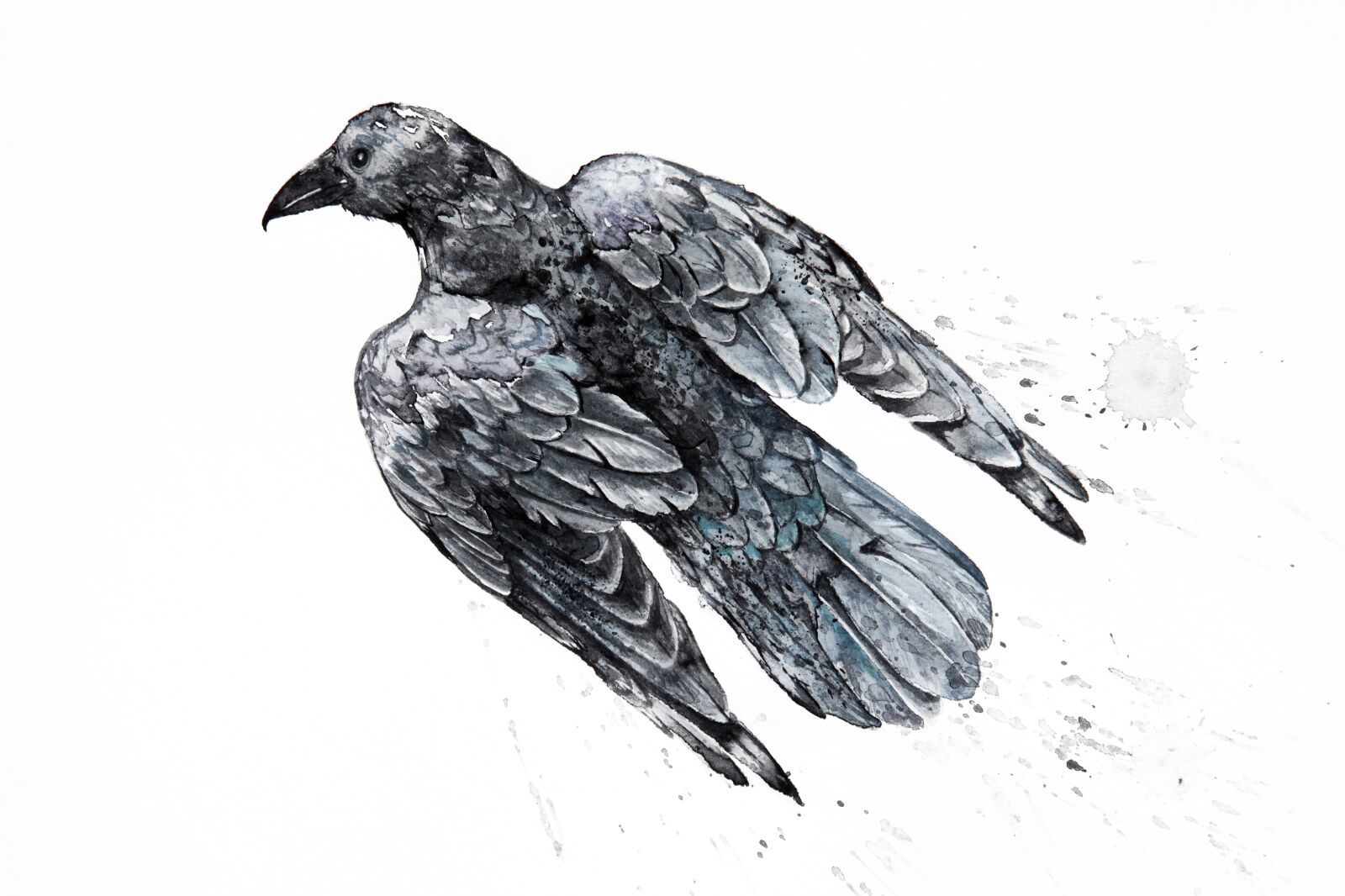 Canon EOS 5D Mark II sample photo. Watercolor, watercolour, crow photography