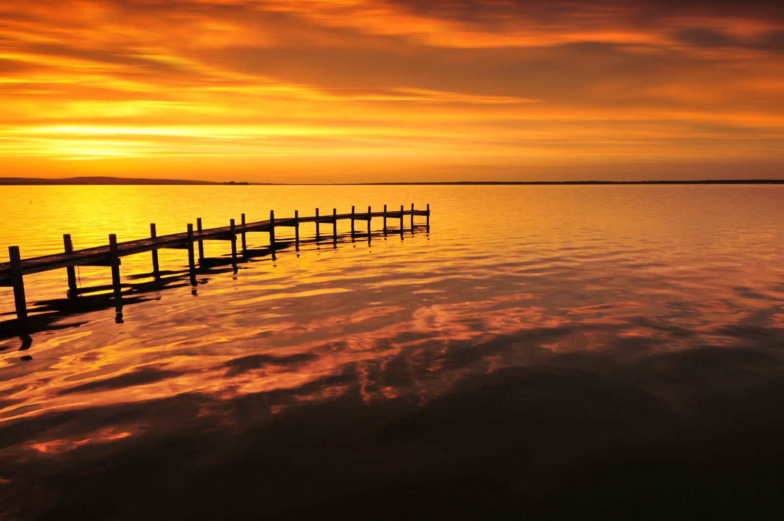 Nikon D300S sample photo. Web, golden, lighting photography