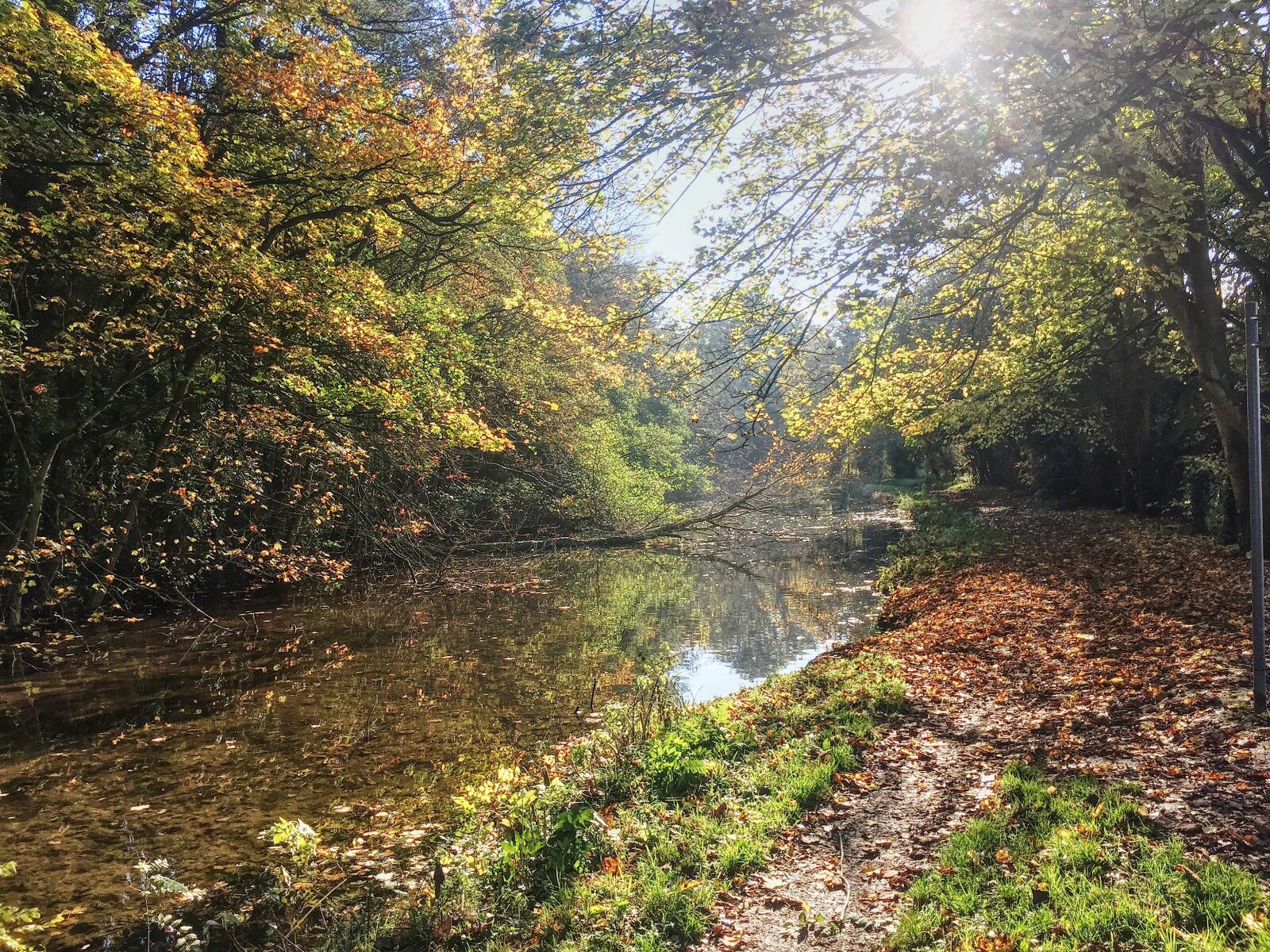 Apple iPhone 6 sample photo. Scenery, scene, outdoors photography