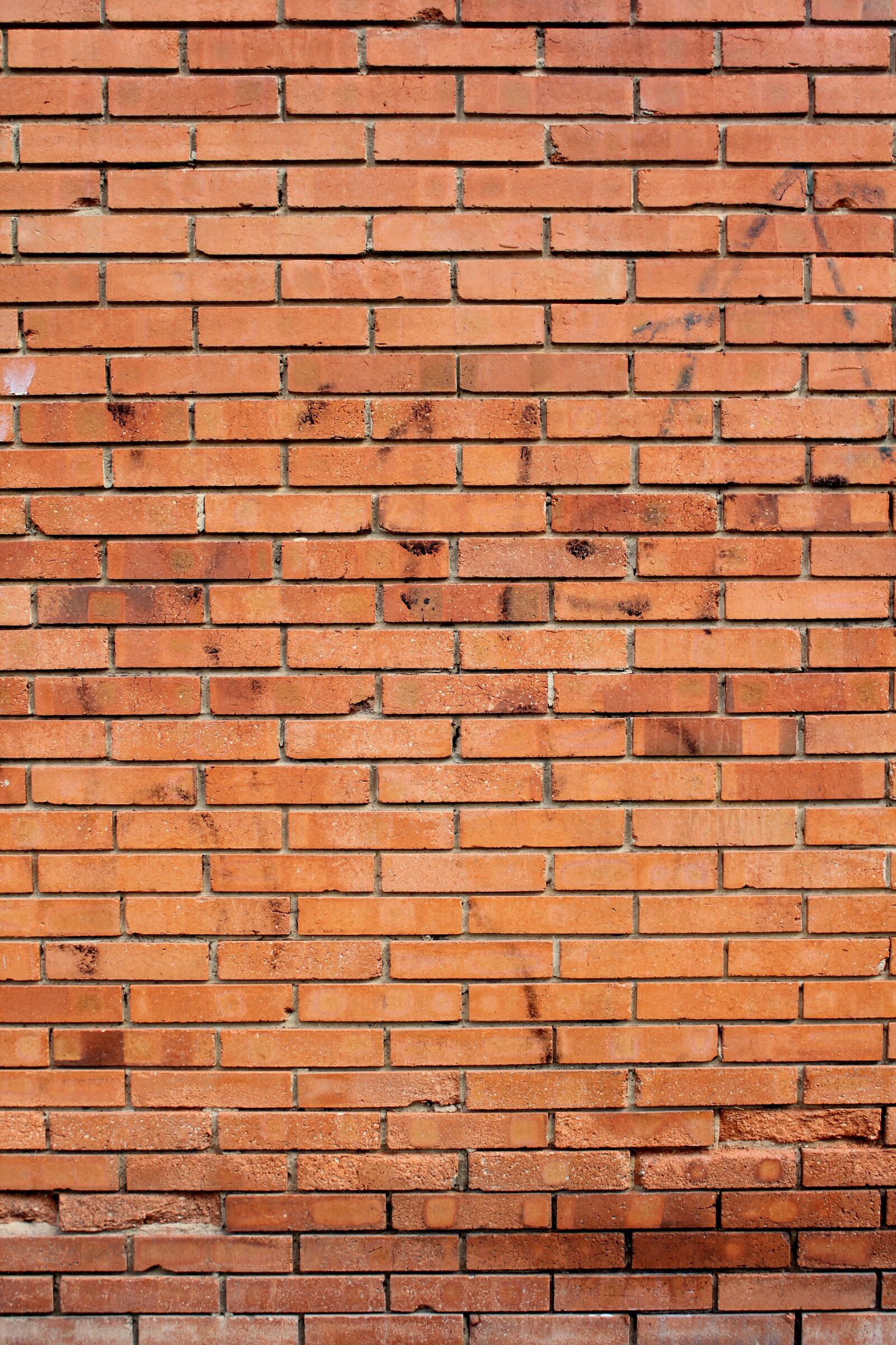 Canon EOS 550D (EOS Rebel T2i / EOS Kiss X4) sample photo. Brick, wall, brick wall photography