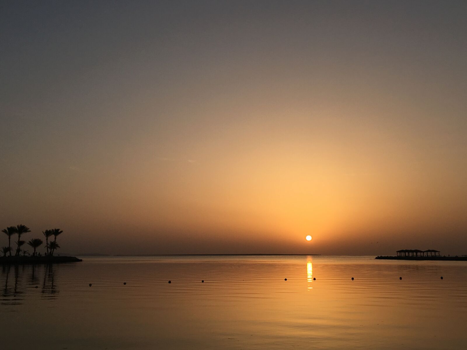 iPhone 6s Plus back camera 4.15mm f/2.2 sample photo. Egypt, tiger garda, sunrise photography