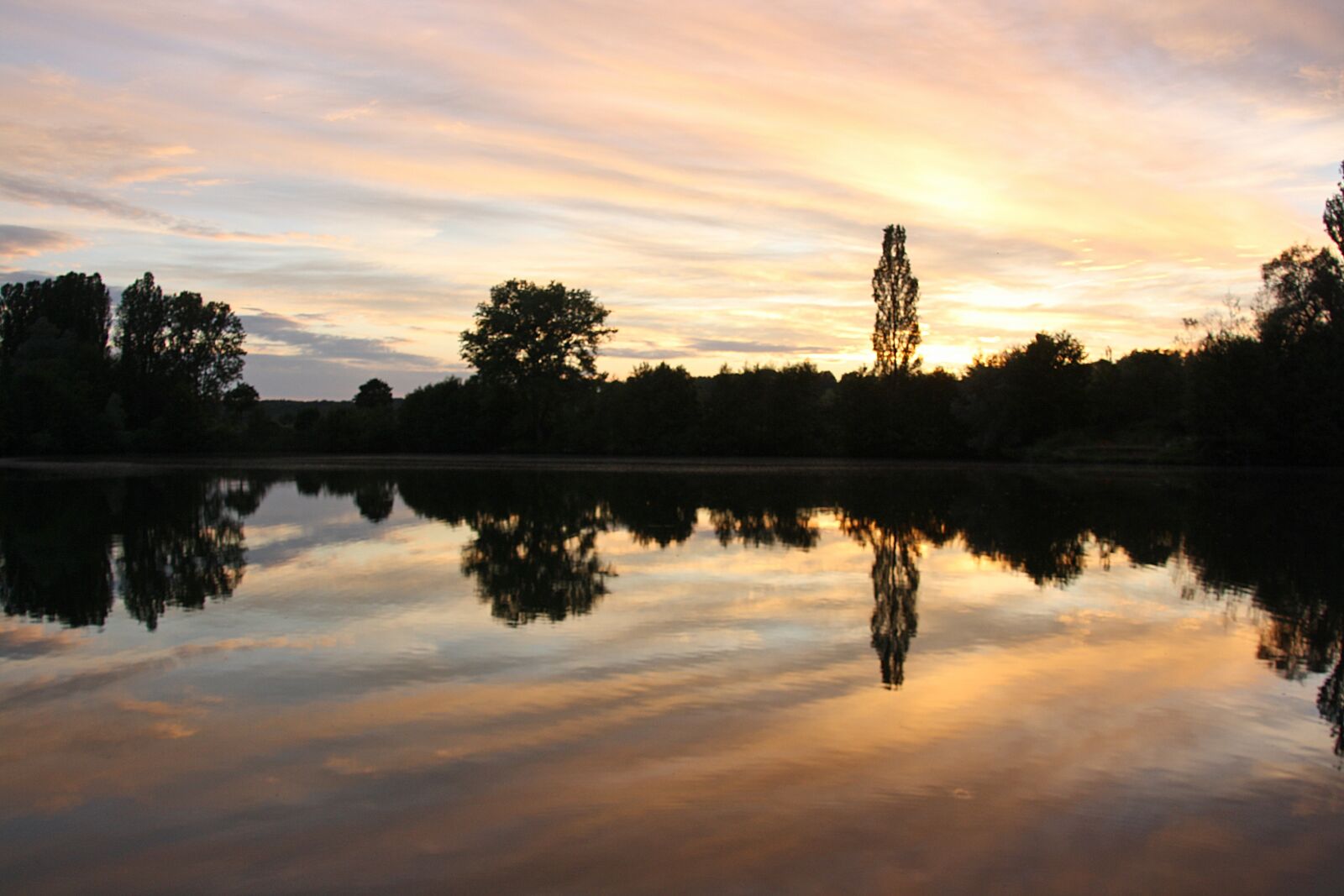 Canon EOS 1000D (EOS Digital Rebel XS / EOS Kiss F) sample photo. Evening light, abendstimmung, nature photography