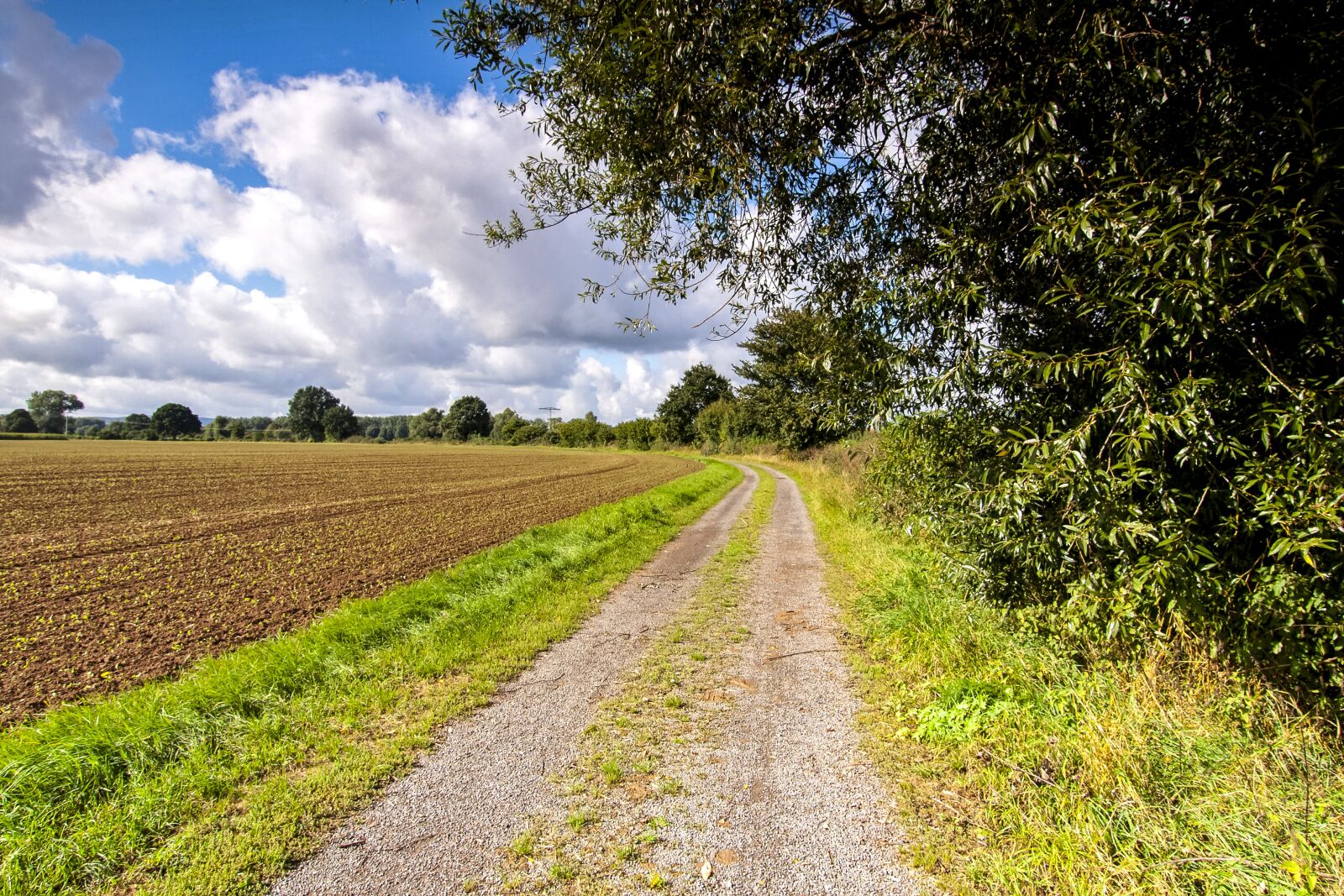 Olympus E-520 (EVOLT E-520) + OLYMPUS 11-22mm Lens sample photo. Lane, away, nature photography