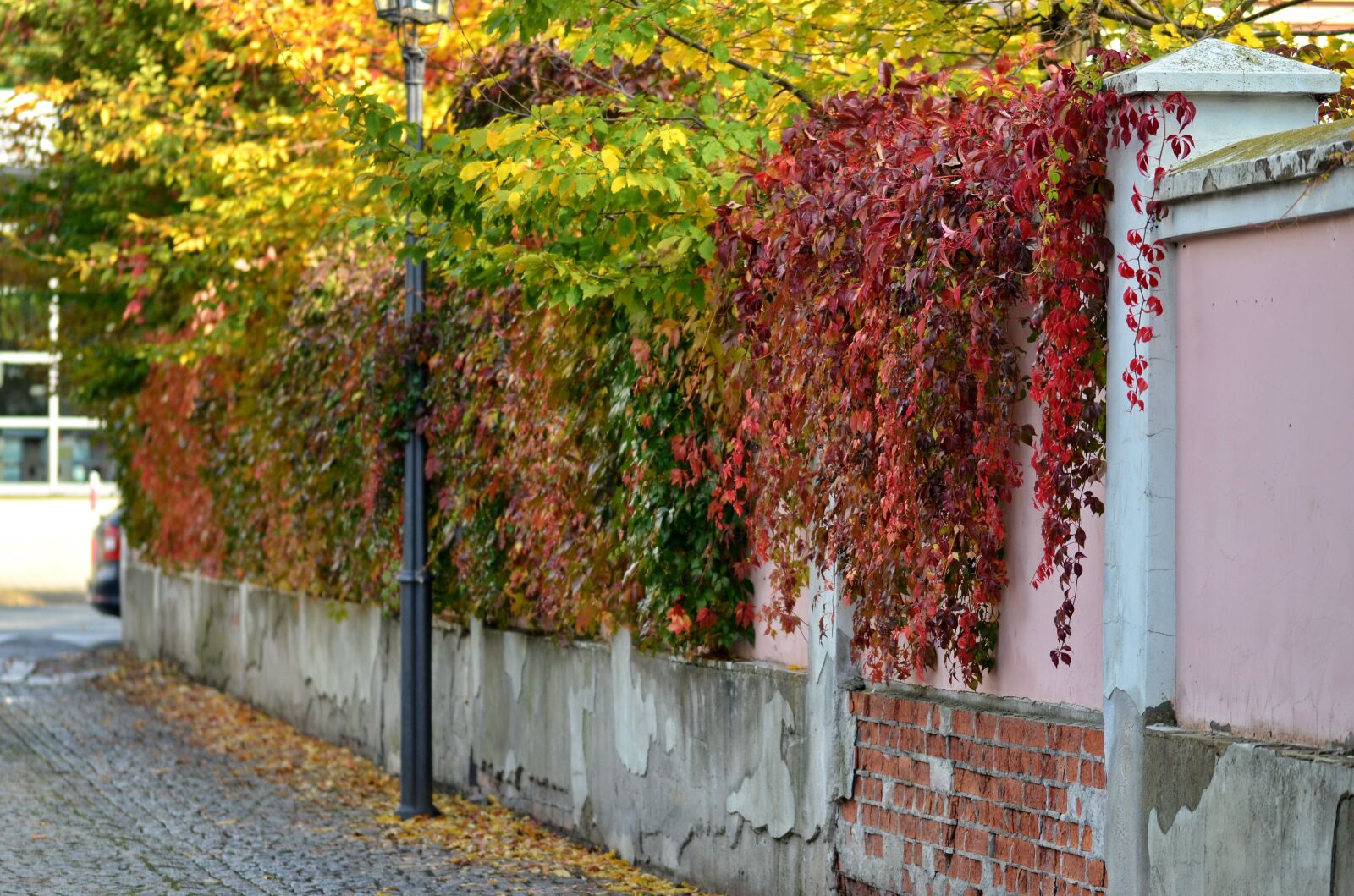 Nikon D5100 sample photo. Landscape, autumn, nature photography