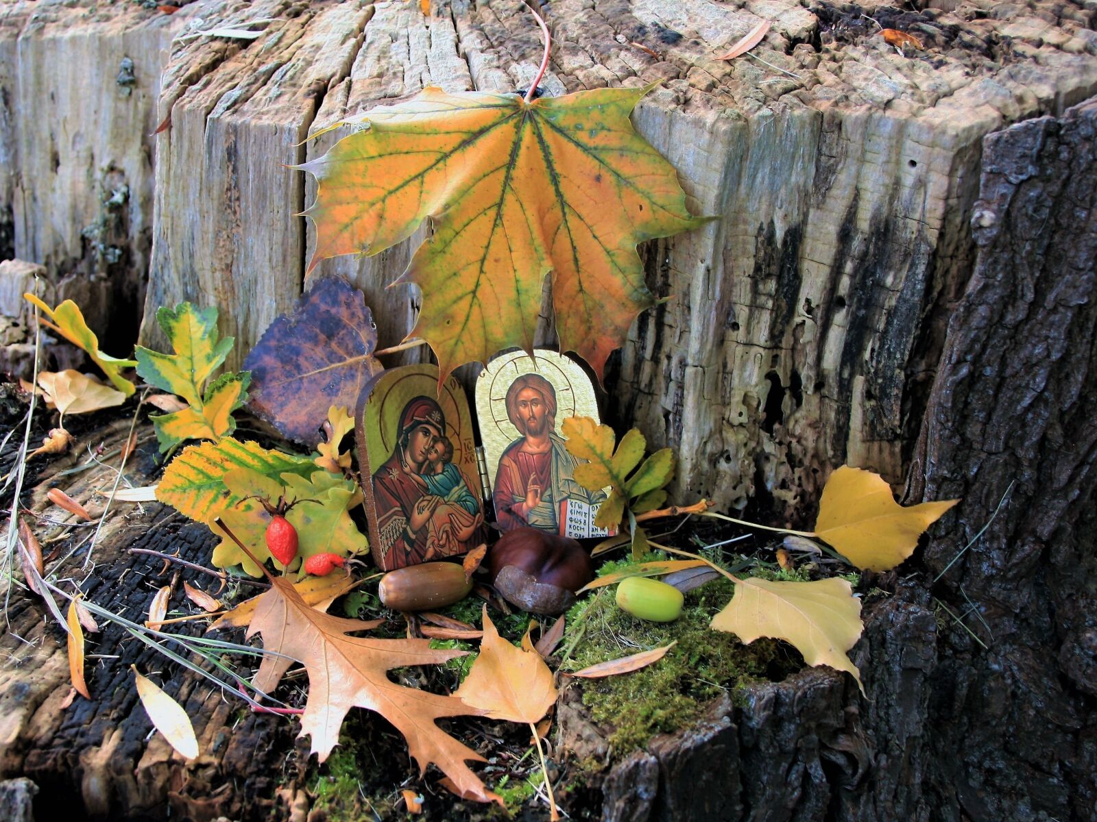 Canon EOS 400D (EOS Digital Rebel XTi / EOS Kiss Digital X) sample photo. Icon, in the fall photography