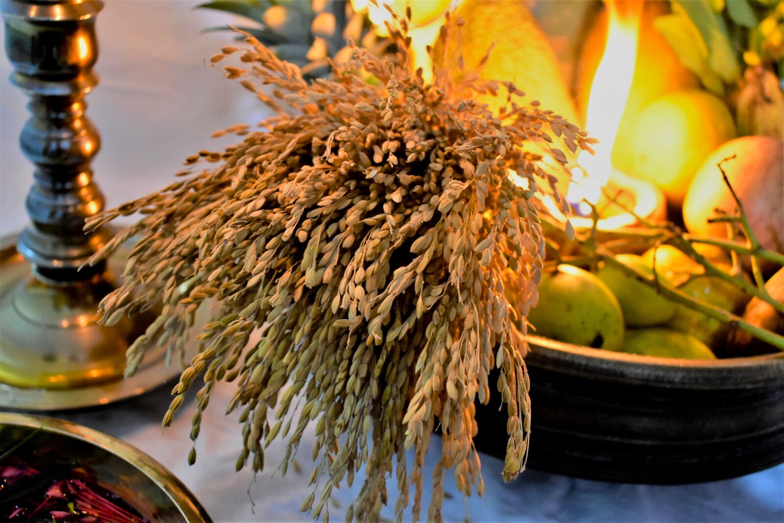 Nikon D3400 sample photo. Vishu, kerala, celebration photography