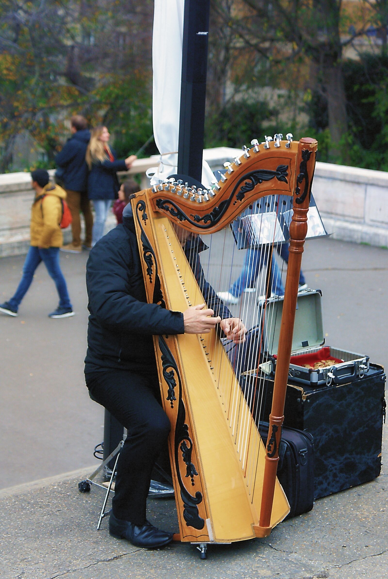 Sony Alpha DSLR-A100 sample photo. Musical instrument, harp, street photography