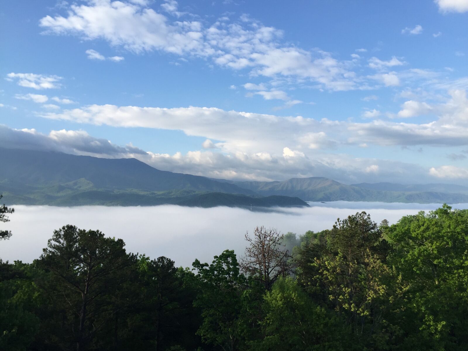 Apple iPhone 6 sample photo. Mountains, fog, la photography