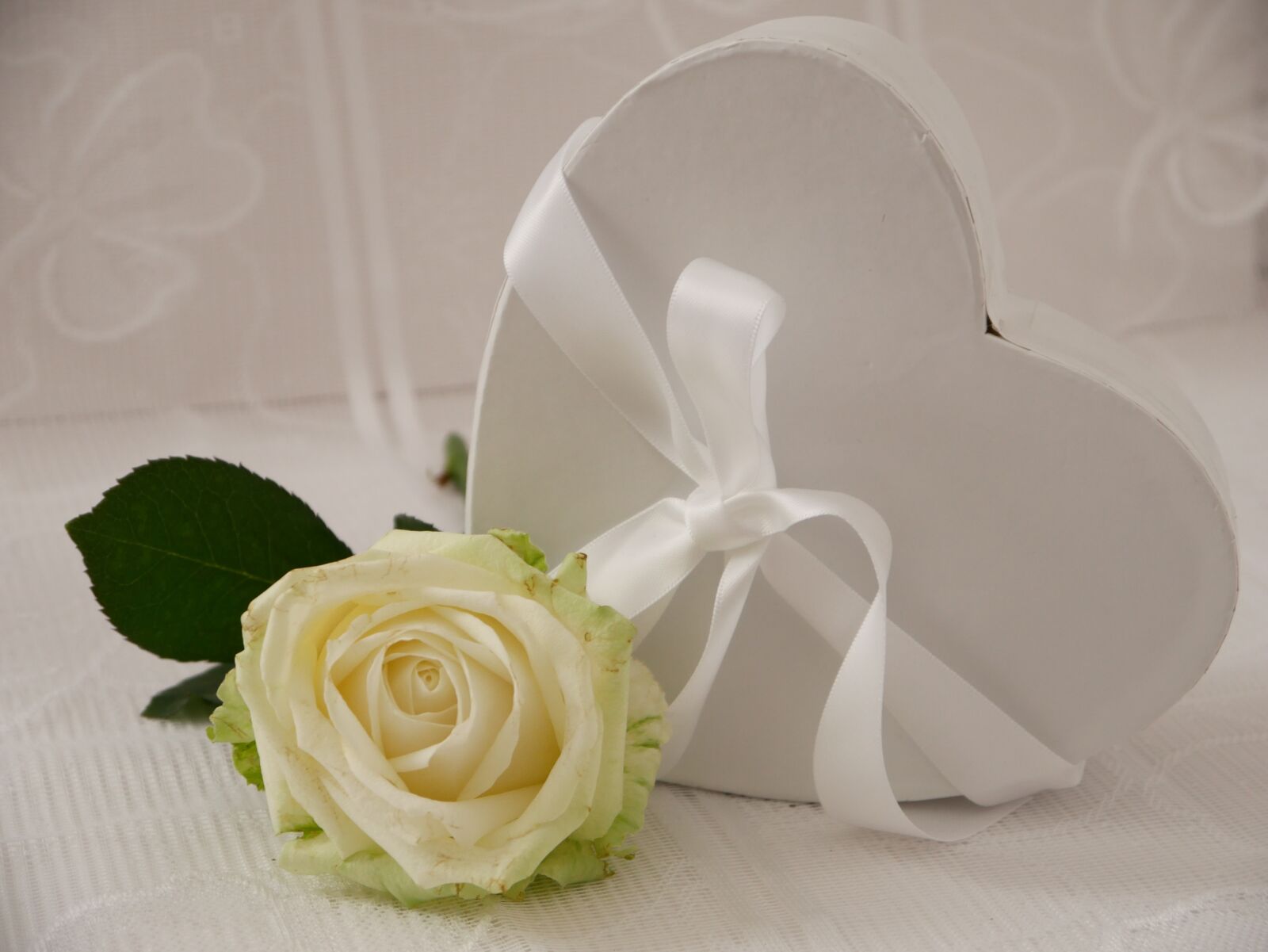 Panasonic DMC-G70 sample photo. Love, heart, rose photography