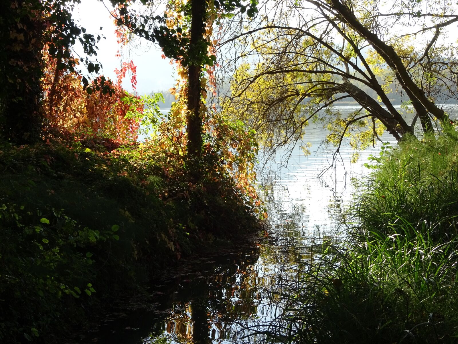 Sony DSC-HX60 sample photo. Lake, bañolas, banyoles photography