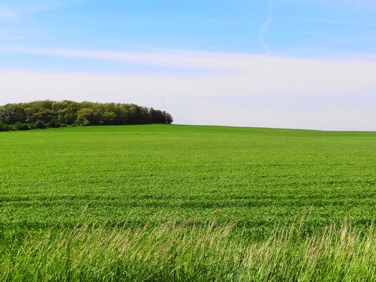 Sony Cyber-shot DSC-HX100V sample photo. Landscape, meadow, sky photography