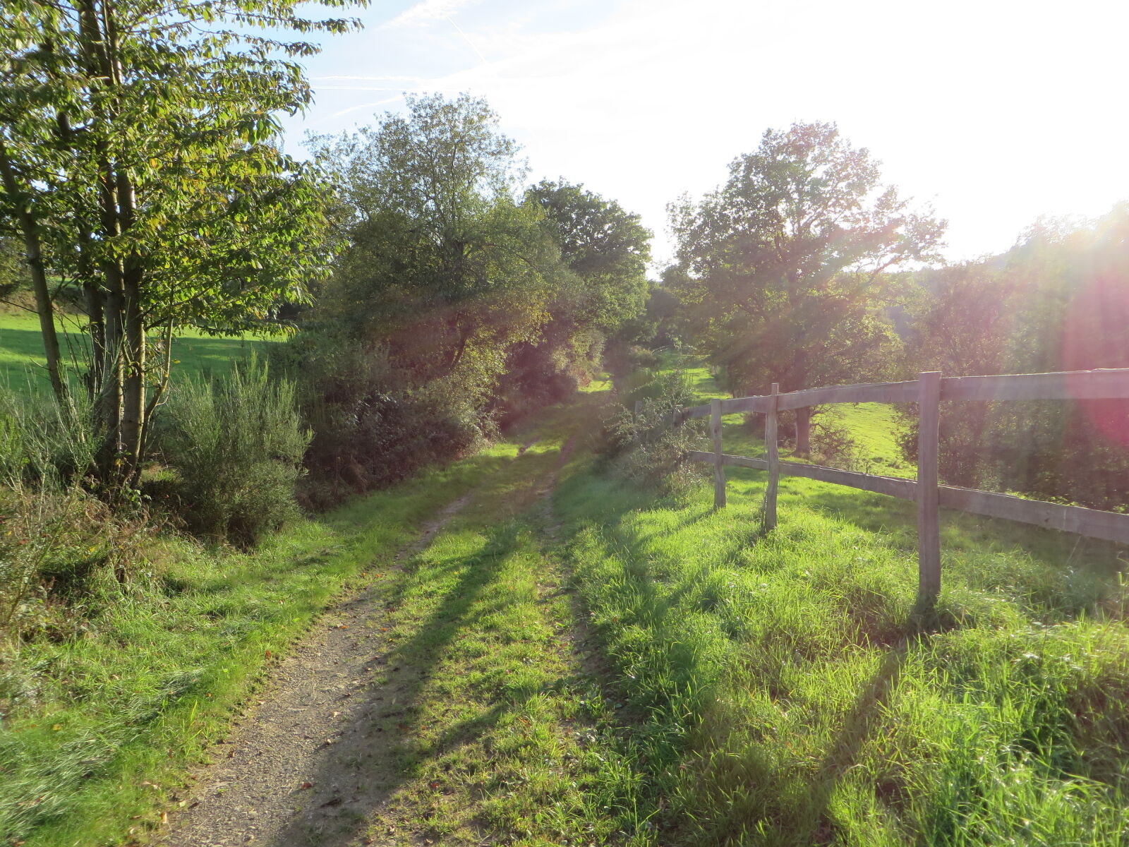 Canon PowerShot SX270 HS sample photo. Fence, nature, wood photography