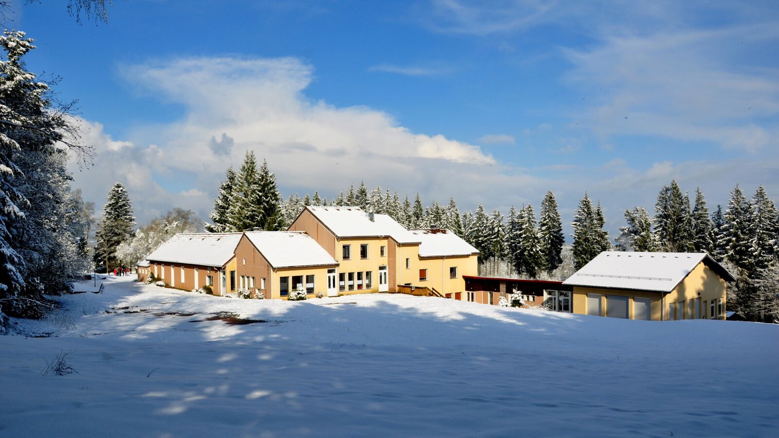 Nikon D90 sample photo. Clairsapin, neige, forêt photography