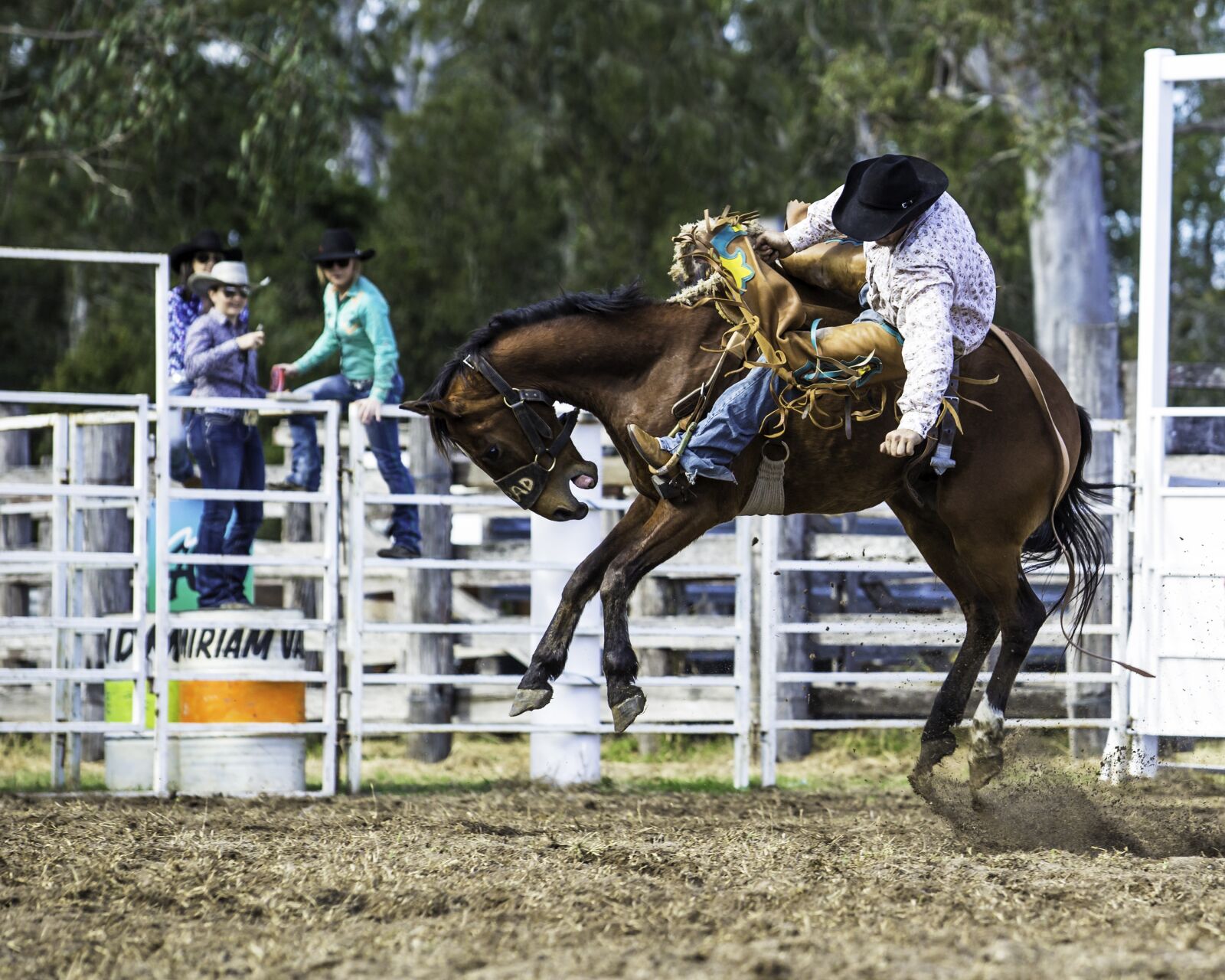 Canon EOS 5D Mark III + Canon EF 70-200mm F2.8L USM sample photo. Rodeo, bull, cowboy photography