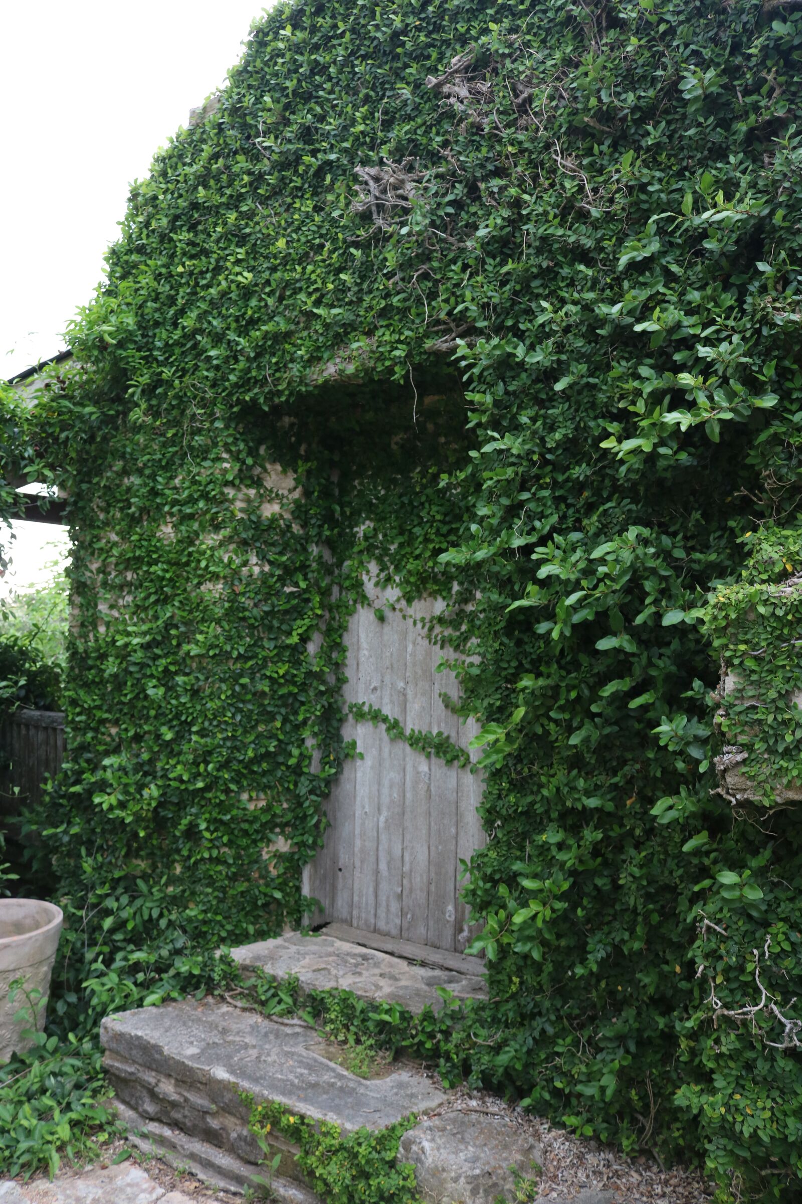 Canon EOS 750D (EOS Rebel T6i / EOS Kiss X8i) sample photo. Garden, wall, leaves photography