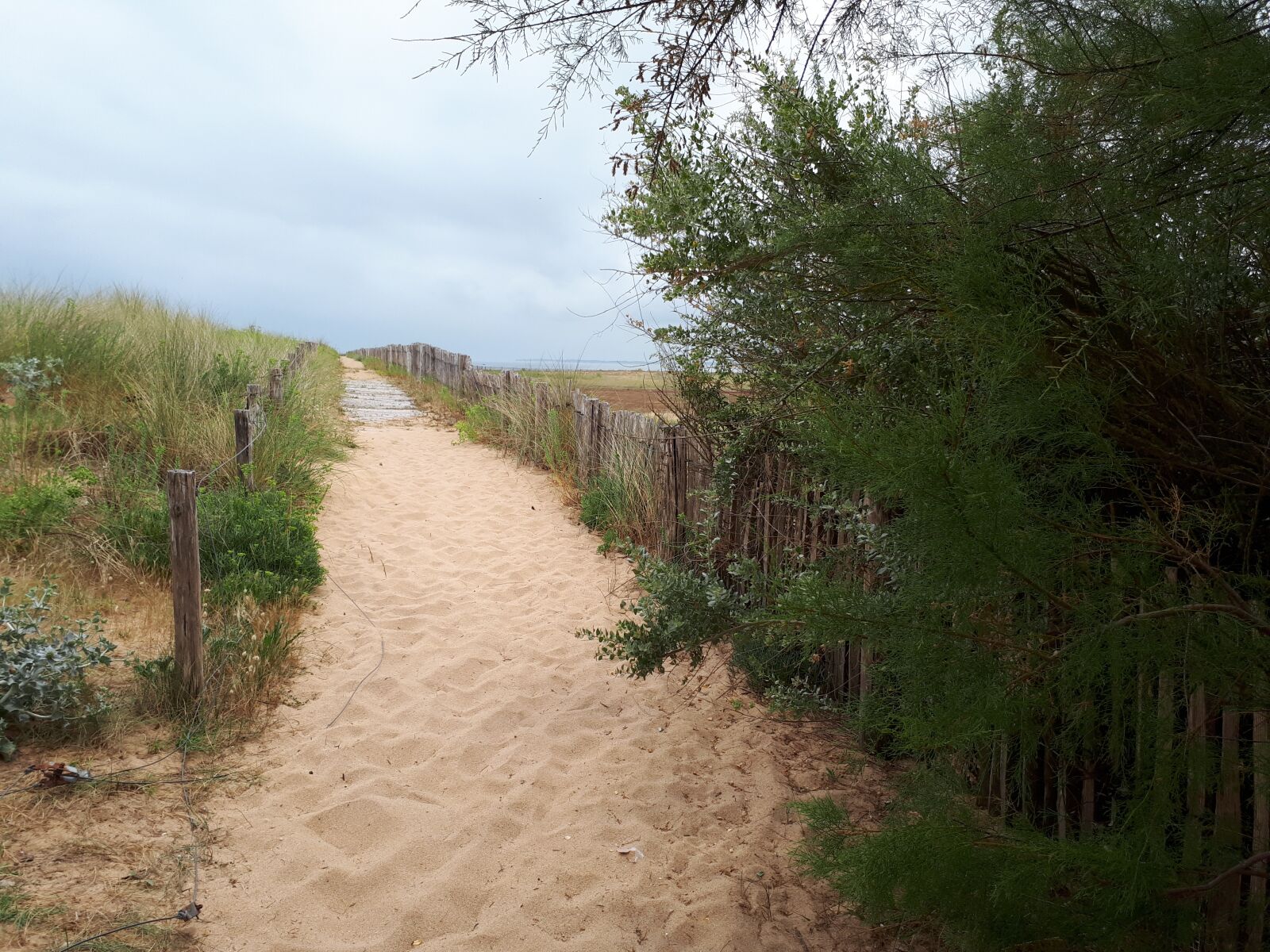 Samsung Galaxy A5(2017) sample photo. France, île d'oleron, landscape photography