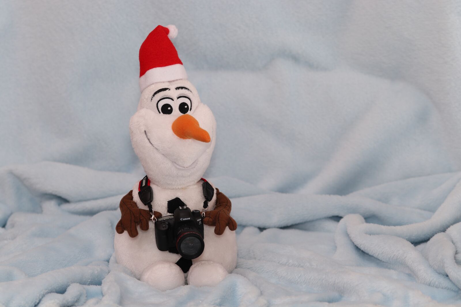 Canon EOS 800D (EOS Rebel T7i / EOS Kiss X9i) sample photo. Snowman, plush, figure photography