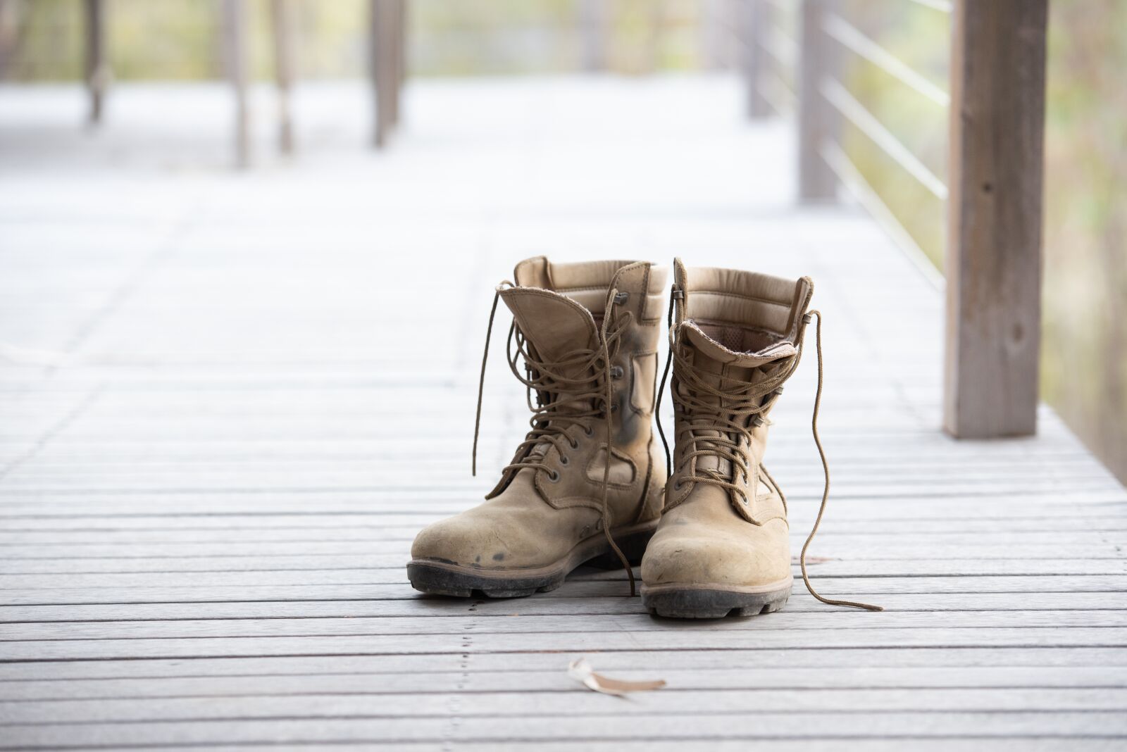 Nikon D750 sample photo. Work boots, boots, shoes photography