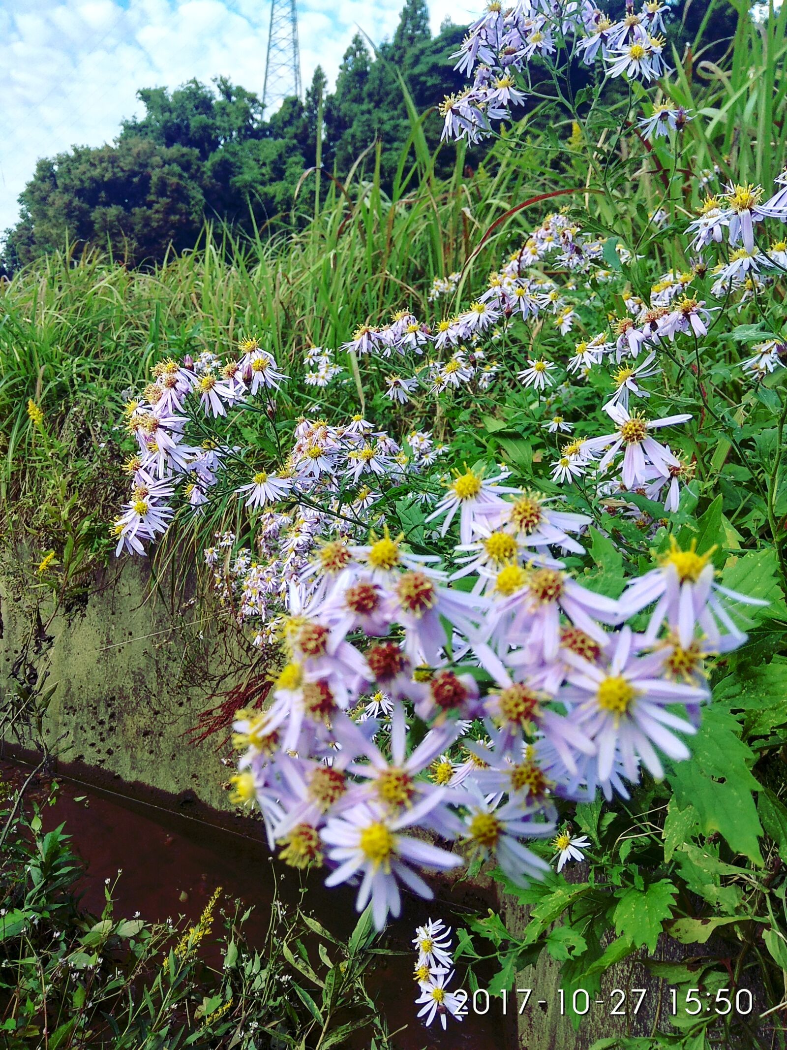 Xiaomi Redmi Note 4 sample photo