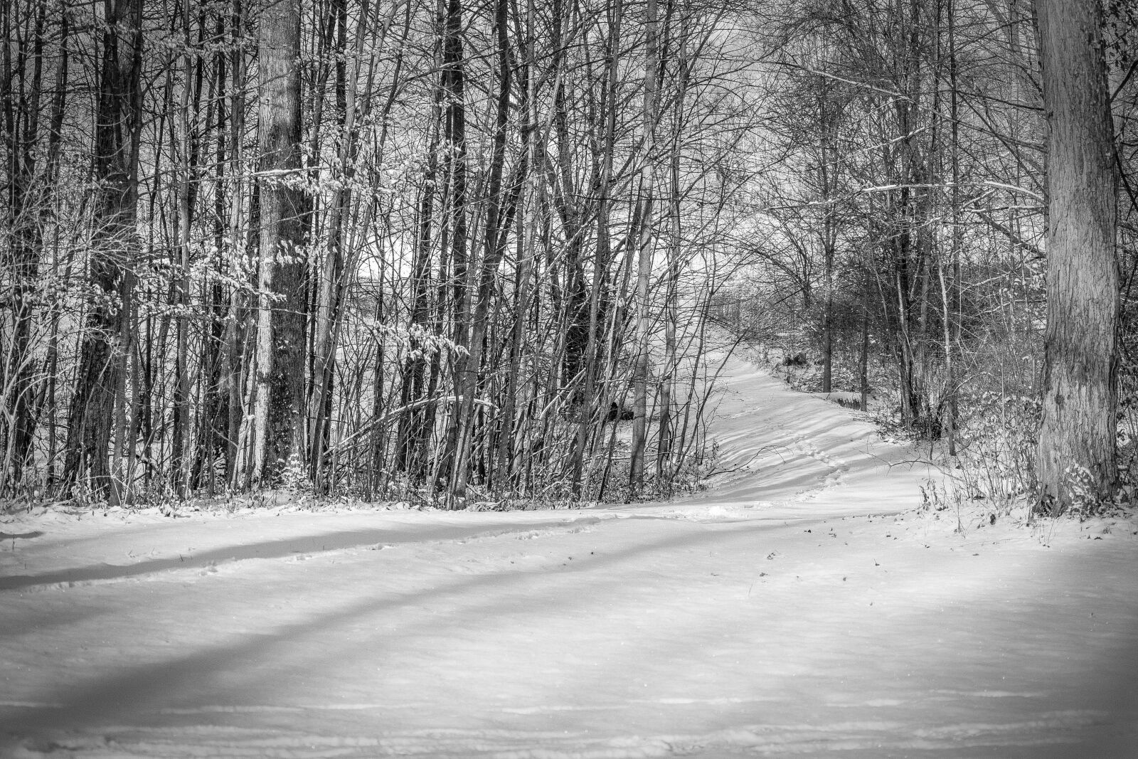 Nikon D3400 sample photo. Black and white, trail photography