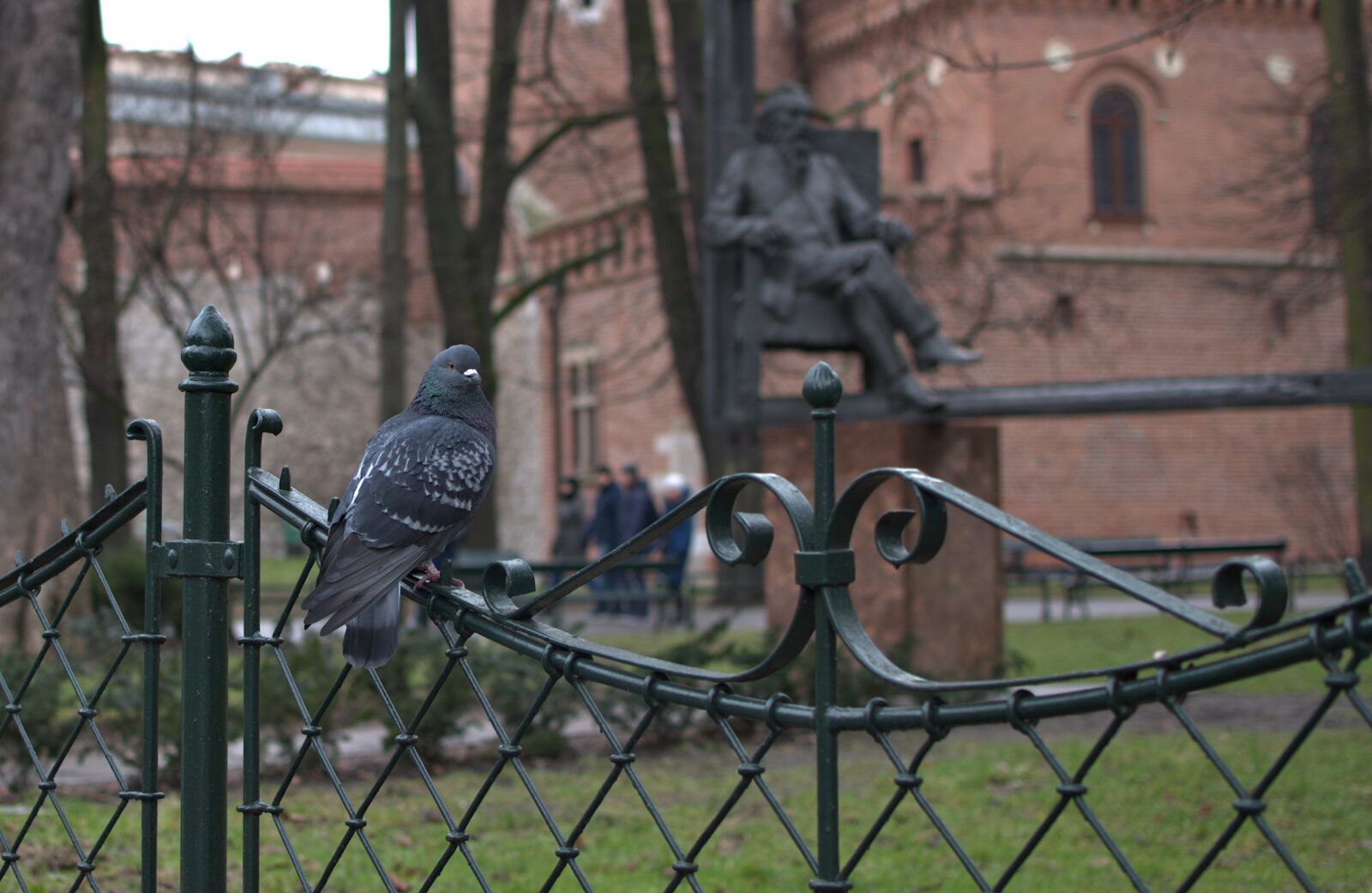 Nikon D7000 sample photo. Dove, kraków, planty photography