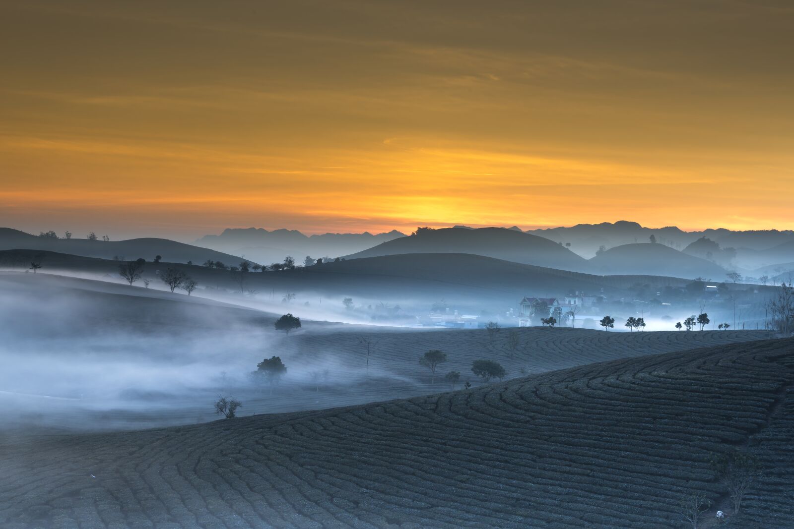 Sigma 70-200mm F2.8 EX DG HSM APO Macro sample photo. Tea plantation, landscape, vietnam photography