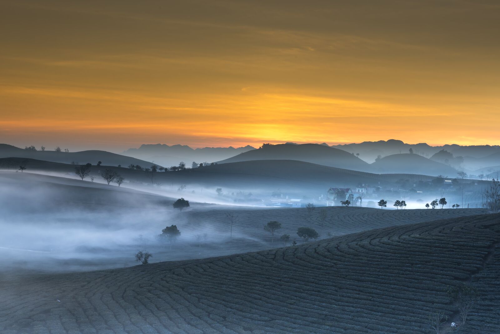 Sony a7R II + Sigma 70-200mm F2.8 EX DG HSM APO Macro sample photo. Tea plantation, landscape, vietnam photography