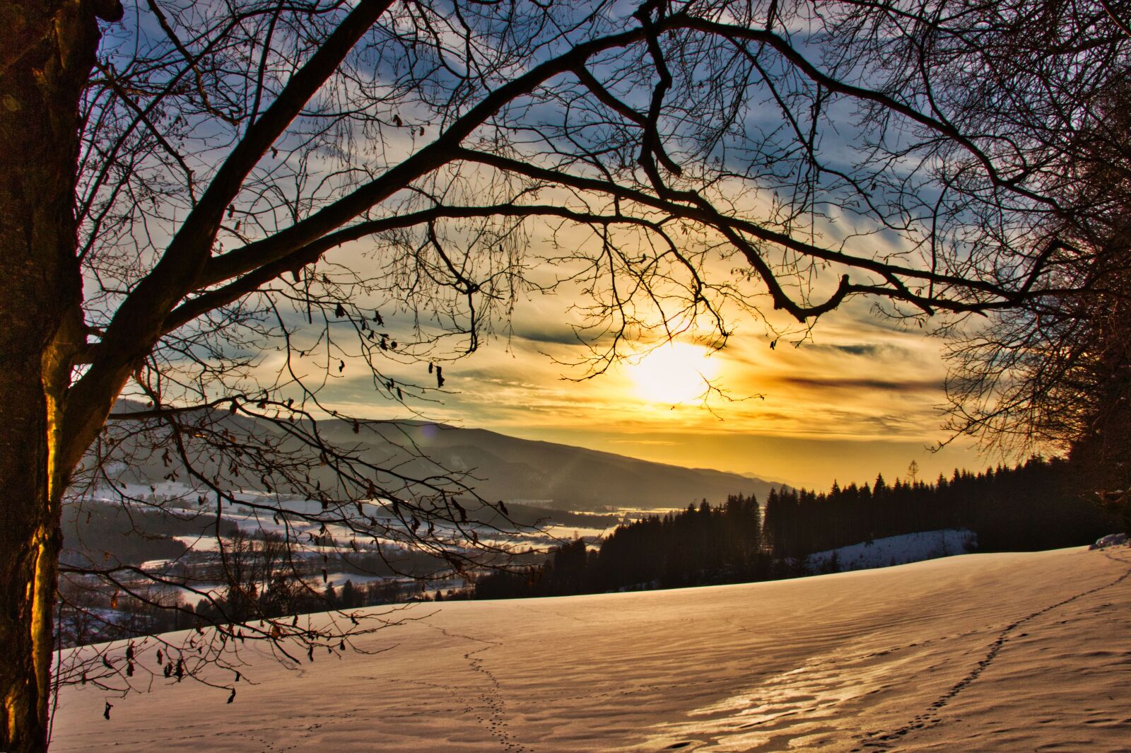 Canon EOS 700D (EOS Rebel T5i / EOS Kiss X7i) sample photo. Sunset, snow, forest photography