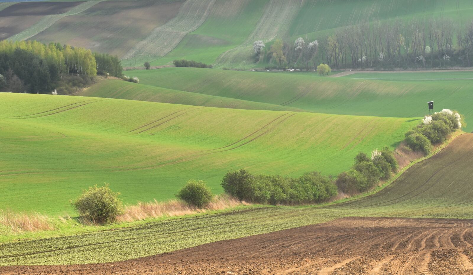 Nikon D5500 sample photo. Field, nature, landscape photography
