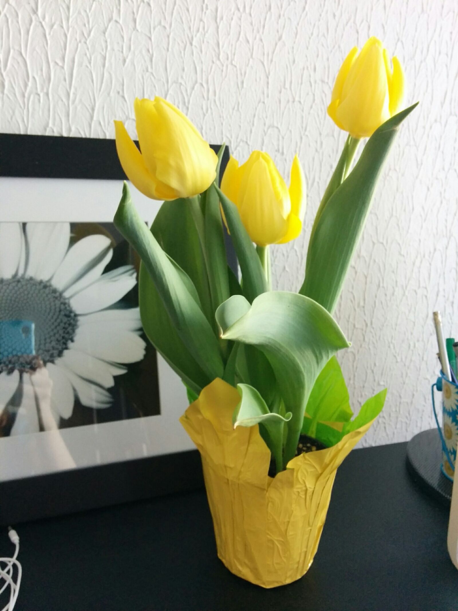 LG Nexus 5 sample photo. Close, up, of, yellow photography
