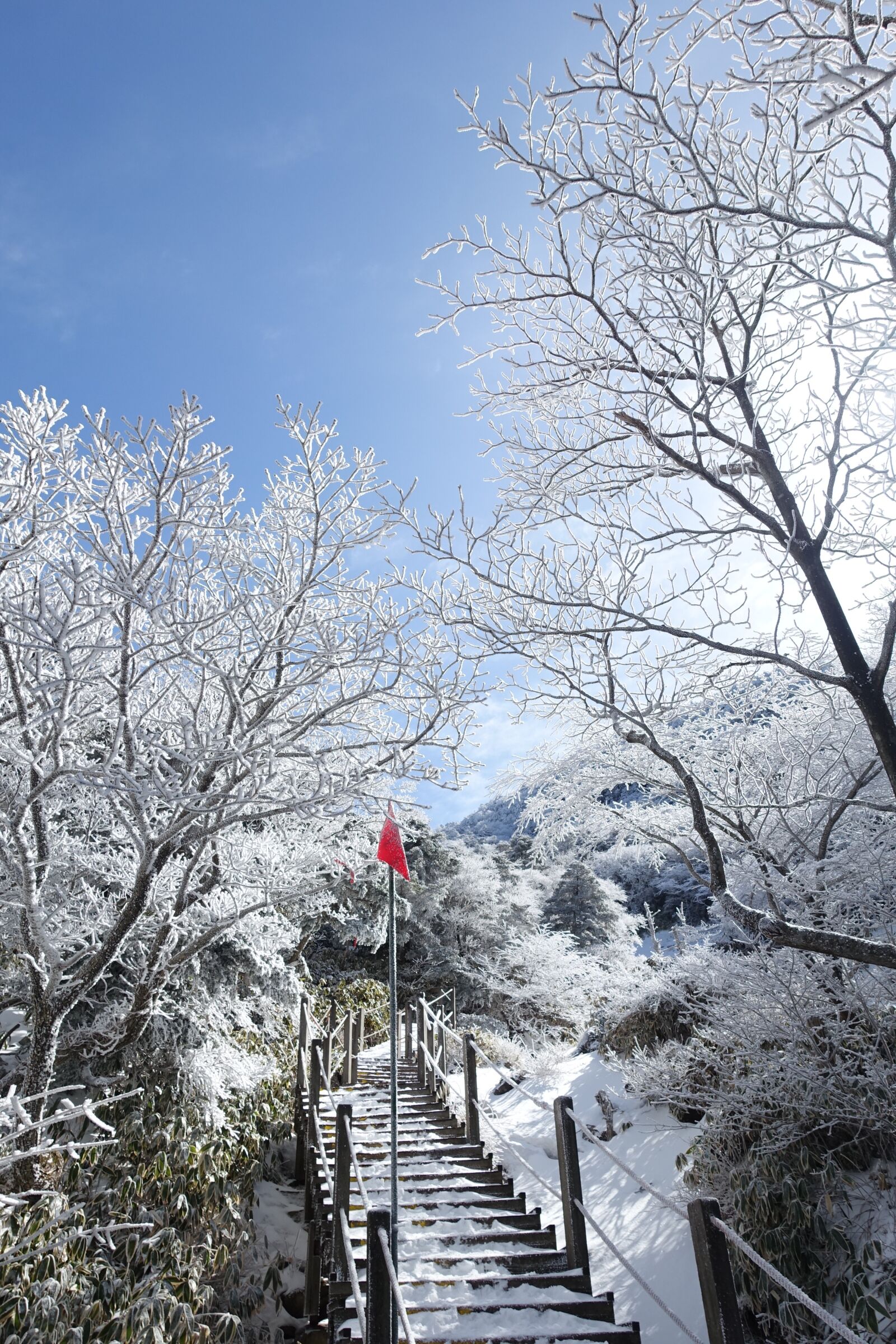 Sony Cyber-shot DSC-RX100 III sample photo. Winter, snow mountain, jeju photography
