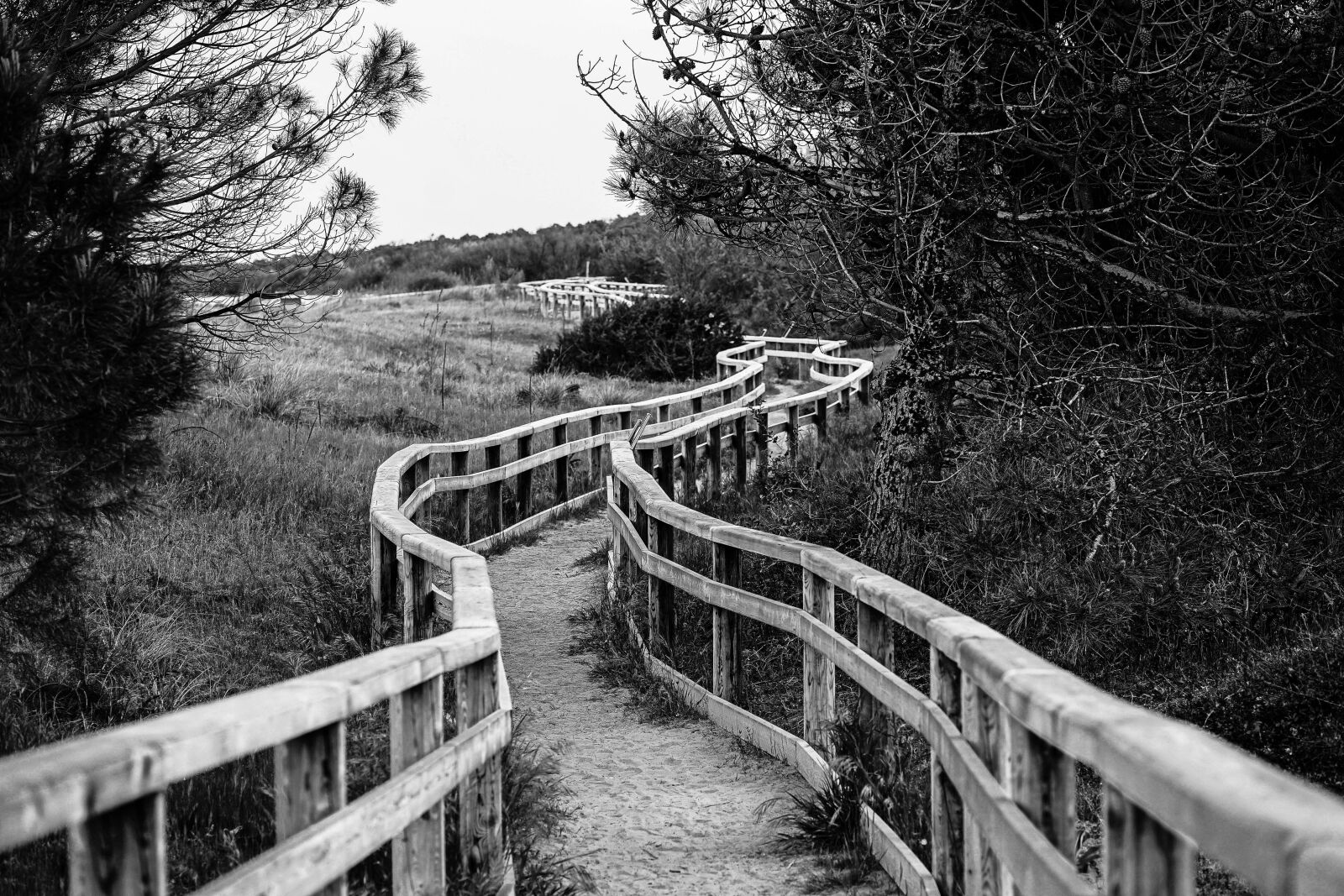Sony a7 II + Sony FE 85mm F1.8 sample photo. Trail, beach, nature photography