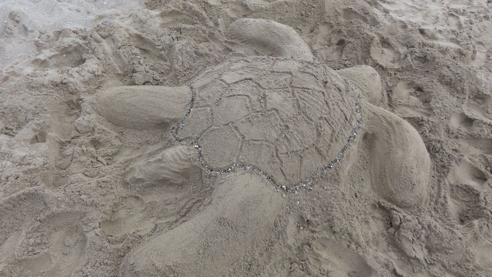 Sony DSC-HX5V sample photo. Beach, turtle, sand sculpture photography