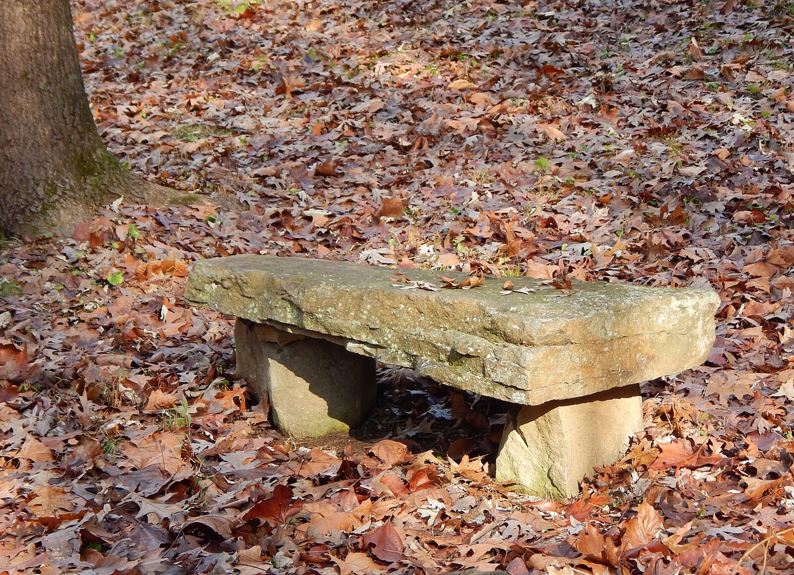 Nikon Coolpix L830 sample photo. Stone bench, bench, stone photography