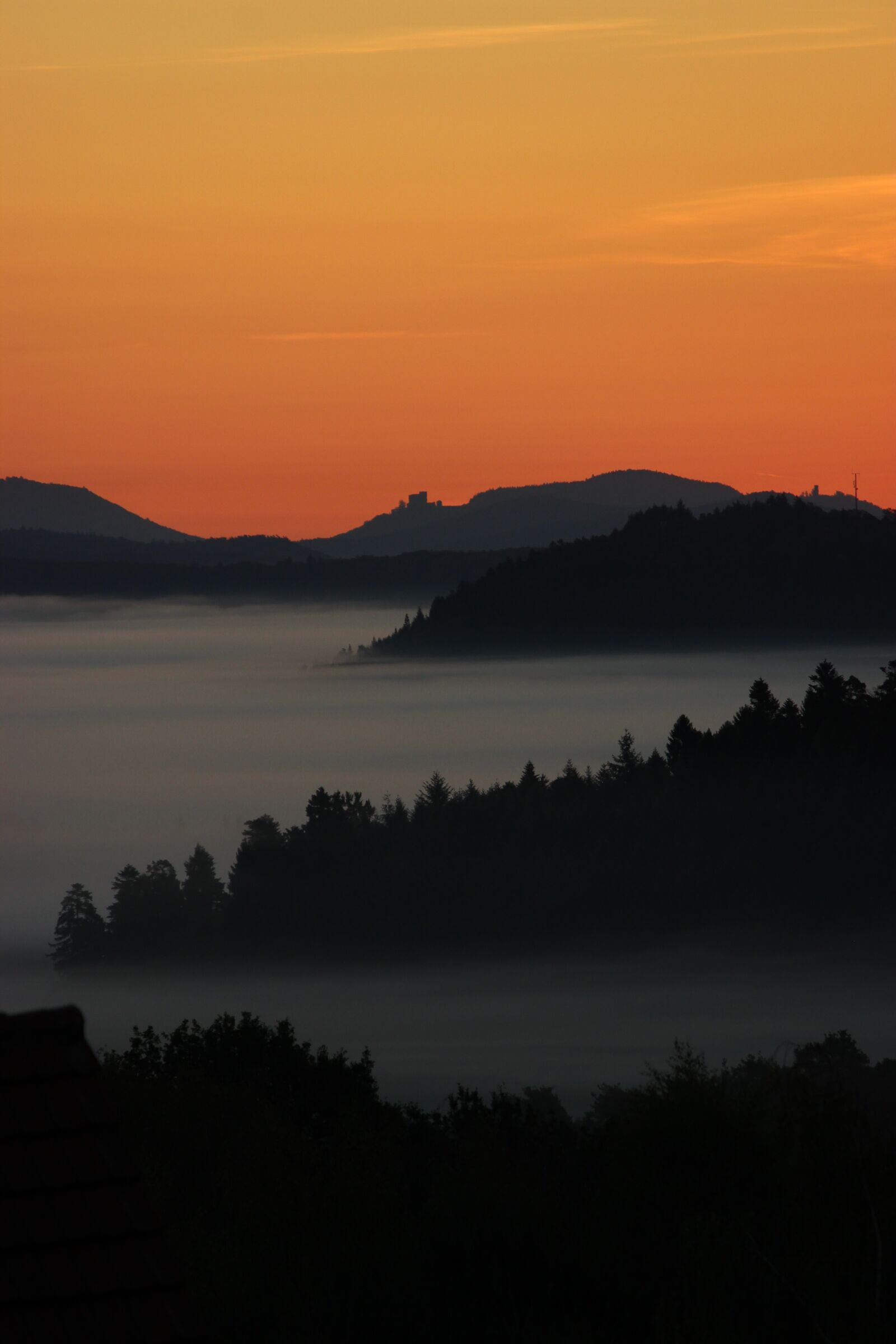 Canon EOS 600D (Rebel EOS T3i / EOS Kiss X5) sample photo. Fog, landscape, palatinate photography