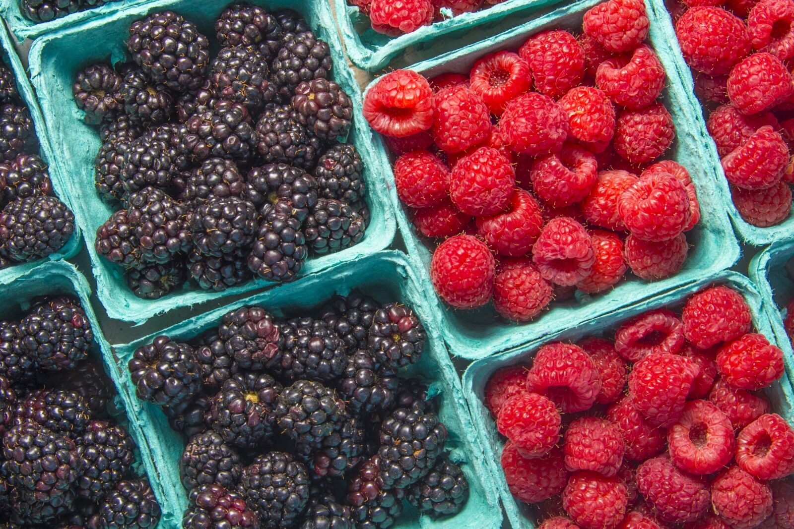Nikon D4 sample photo. Raspberries, blackberries, berries photography