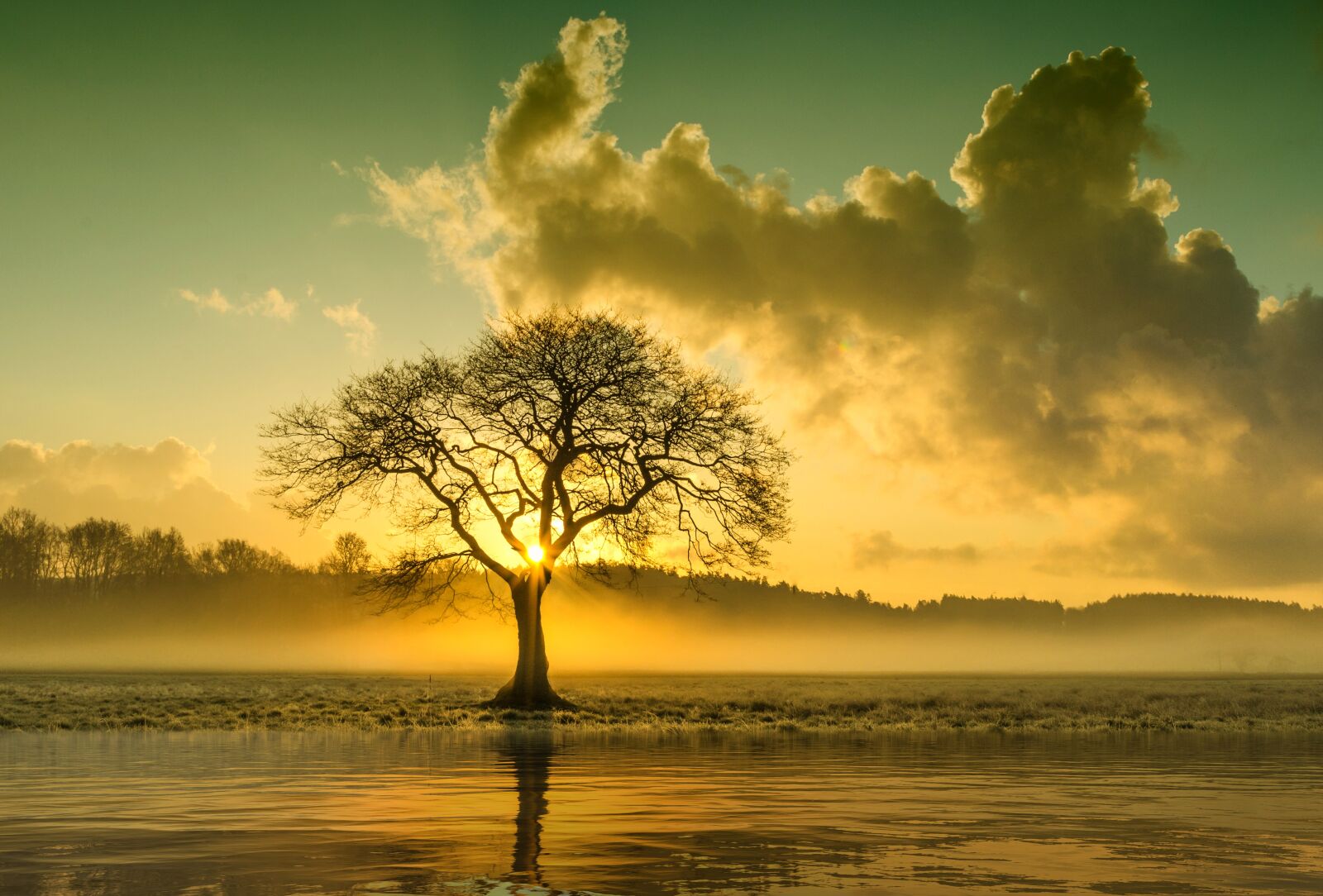 Nikon D5100 sample photo. Lone tree, landscape, nature photography