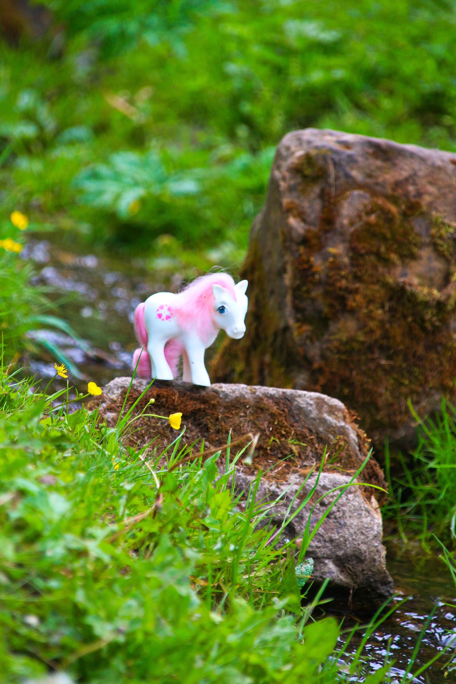 Canon EOS 700D (EOS Rebel T5i / EOS Kiss X7i) sample photo. My little pony, toys photography