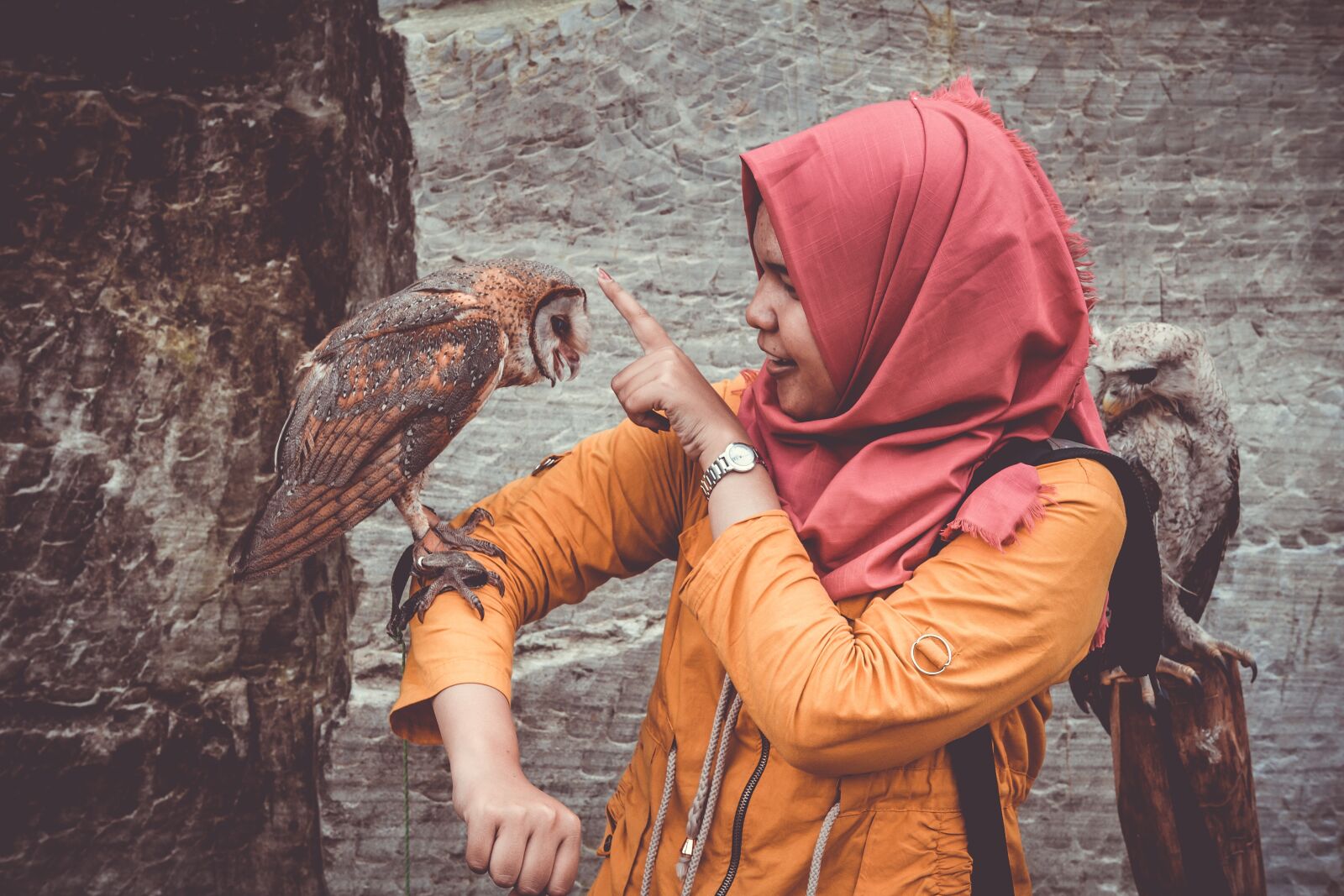Canon EOS 60D sample photo. Animals, owls, avian photography