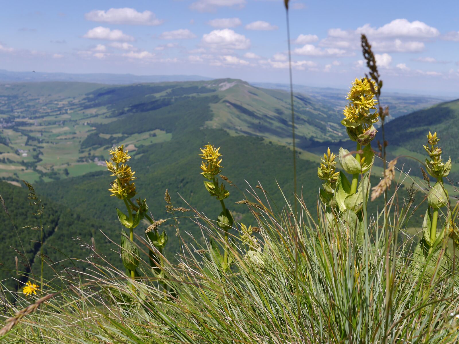 Panasonic Lumix DMC-GF6 sample photo. Mountain, auvergne, france photography
