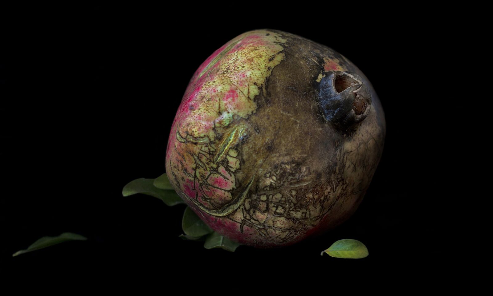 Nikon D5100 sample photo. Pomegranate, colorful, fruit photography