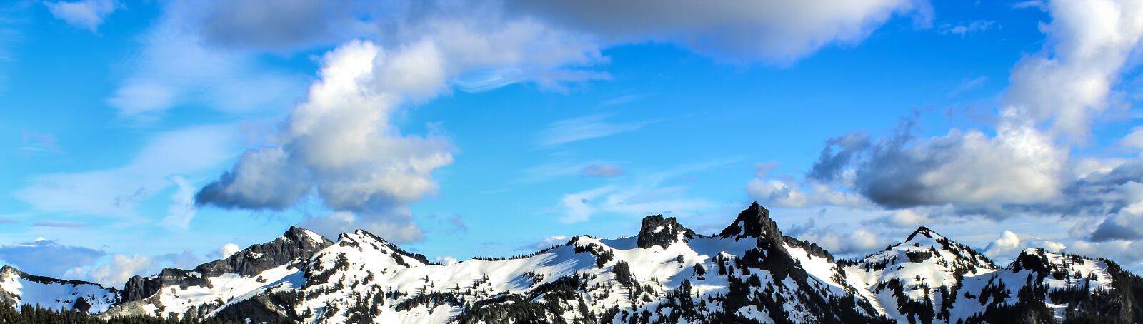 Canon EOS 600D (Rebel EOS T3i / EOS Kiss X5) sample photo. White, and, black, snowy photography