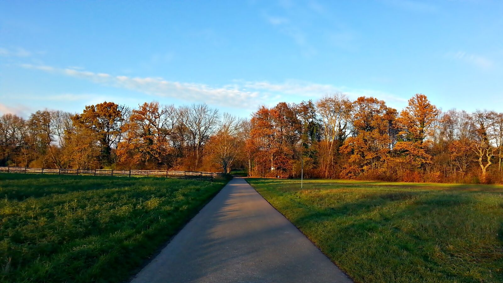 Samsung Galaxy S3 sample photo. Landscape, nature, green photography