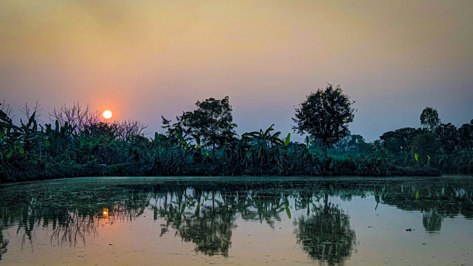 Xiaomi Mi A3 sample photo. Sunrise, pond, trees photography