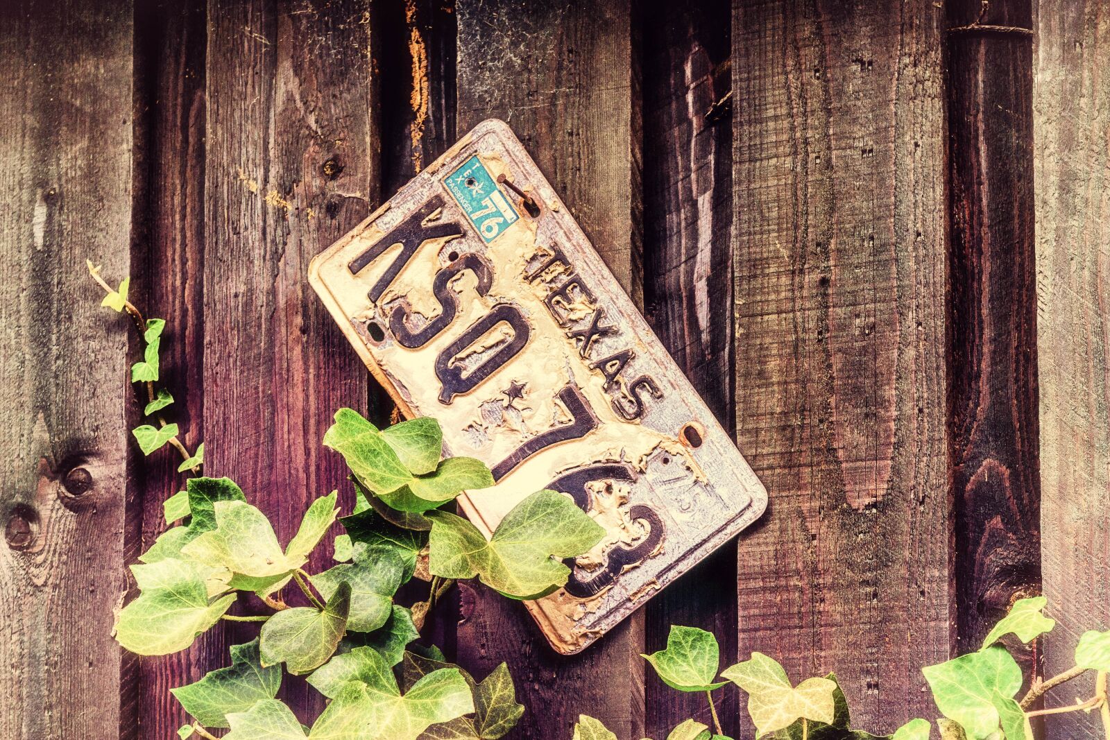 Nikon D3300 sample photo. License plate, indicator, pkw photography