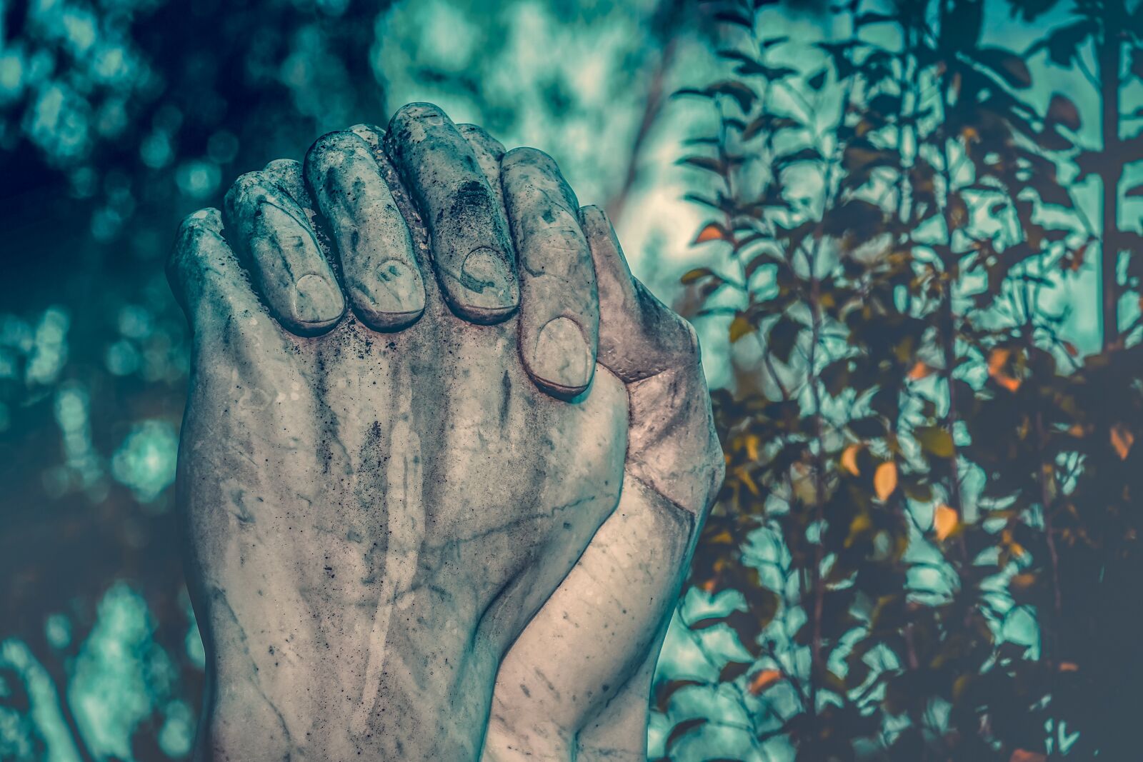 Fujifilm XF 55-200mm F3.5-4.8 R LM OIS sample photo. Pray, hands, praying hands photography