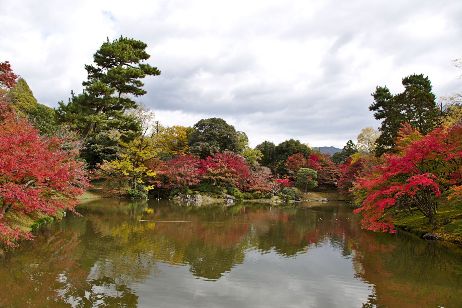 Canon EOS 6D + Canon EF 24-105mm F4L IS USM sample photo. Japan, kyoto, sentou photography