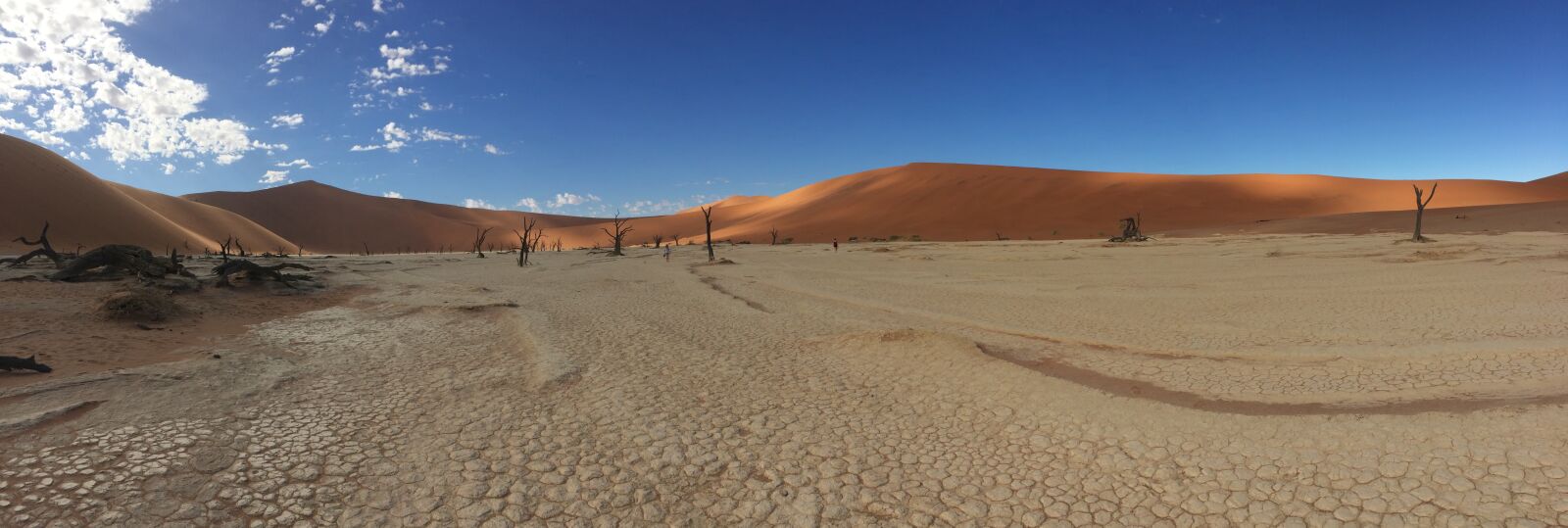 Apple iPhone 5s sample photo. Desert, namibia, beautiful photography